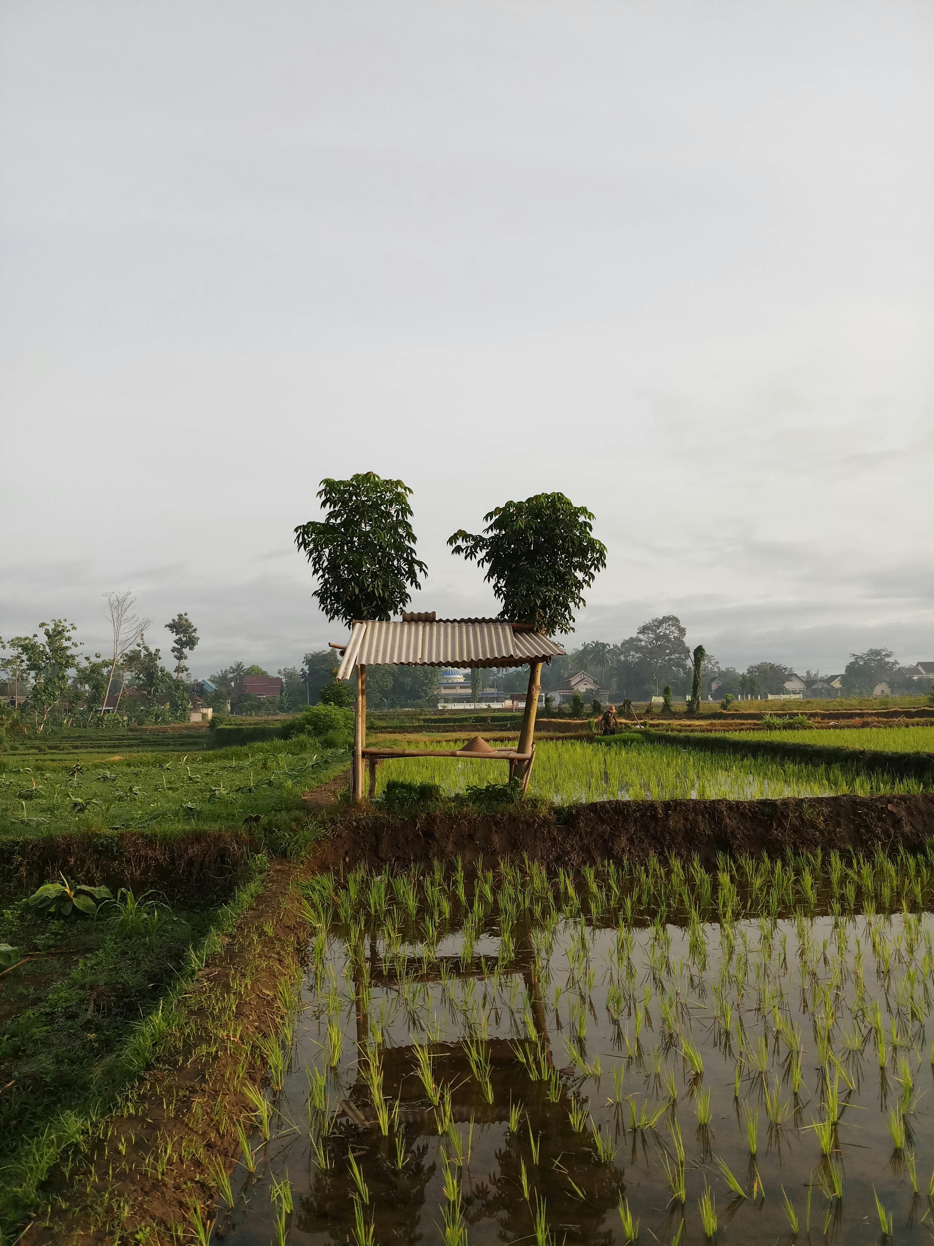 Diagram on a screen showing interconnected AI tools and services