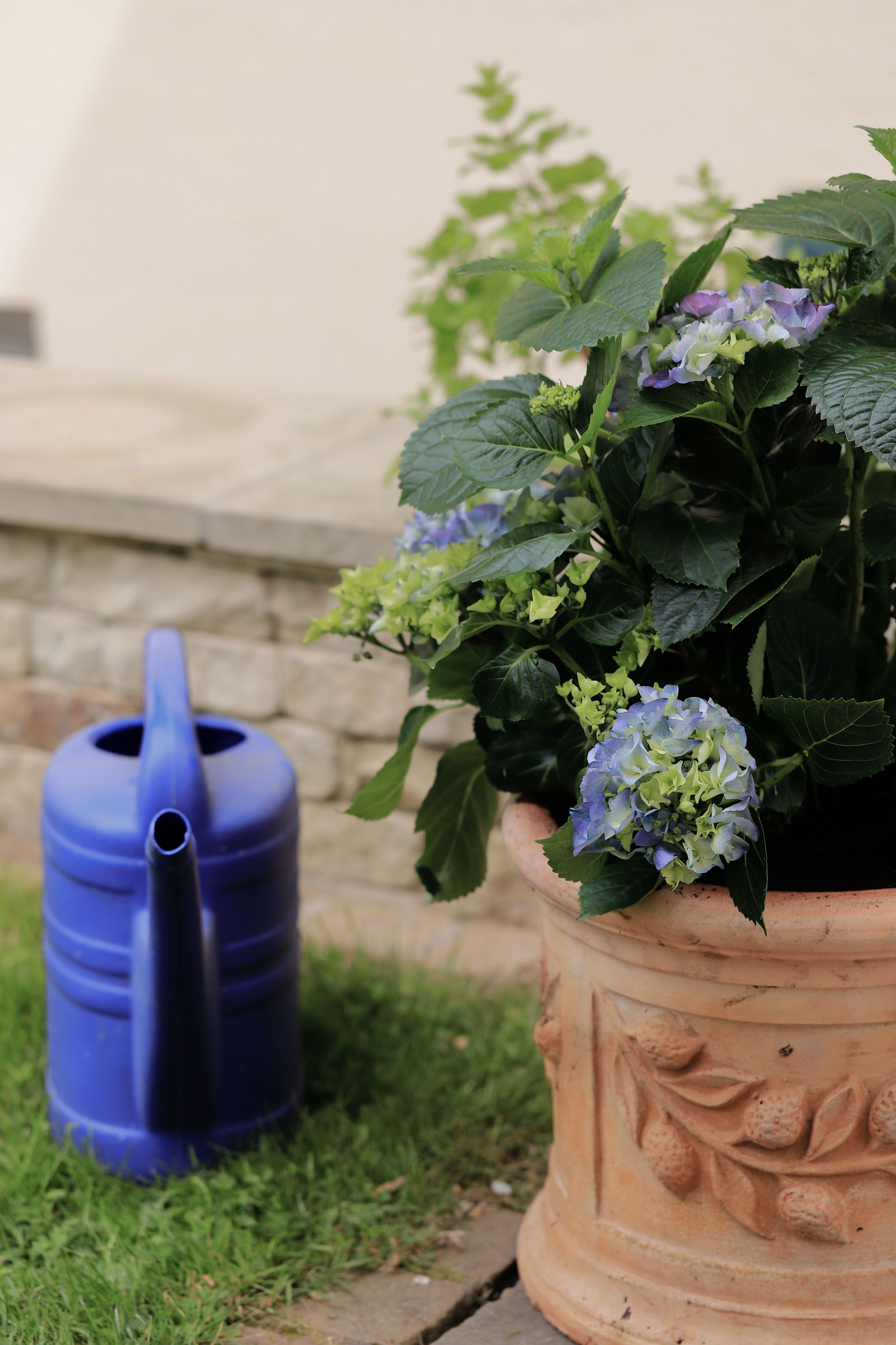 Courtyard container styling