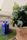 flower pot