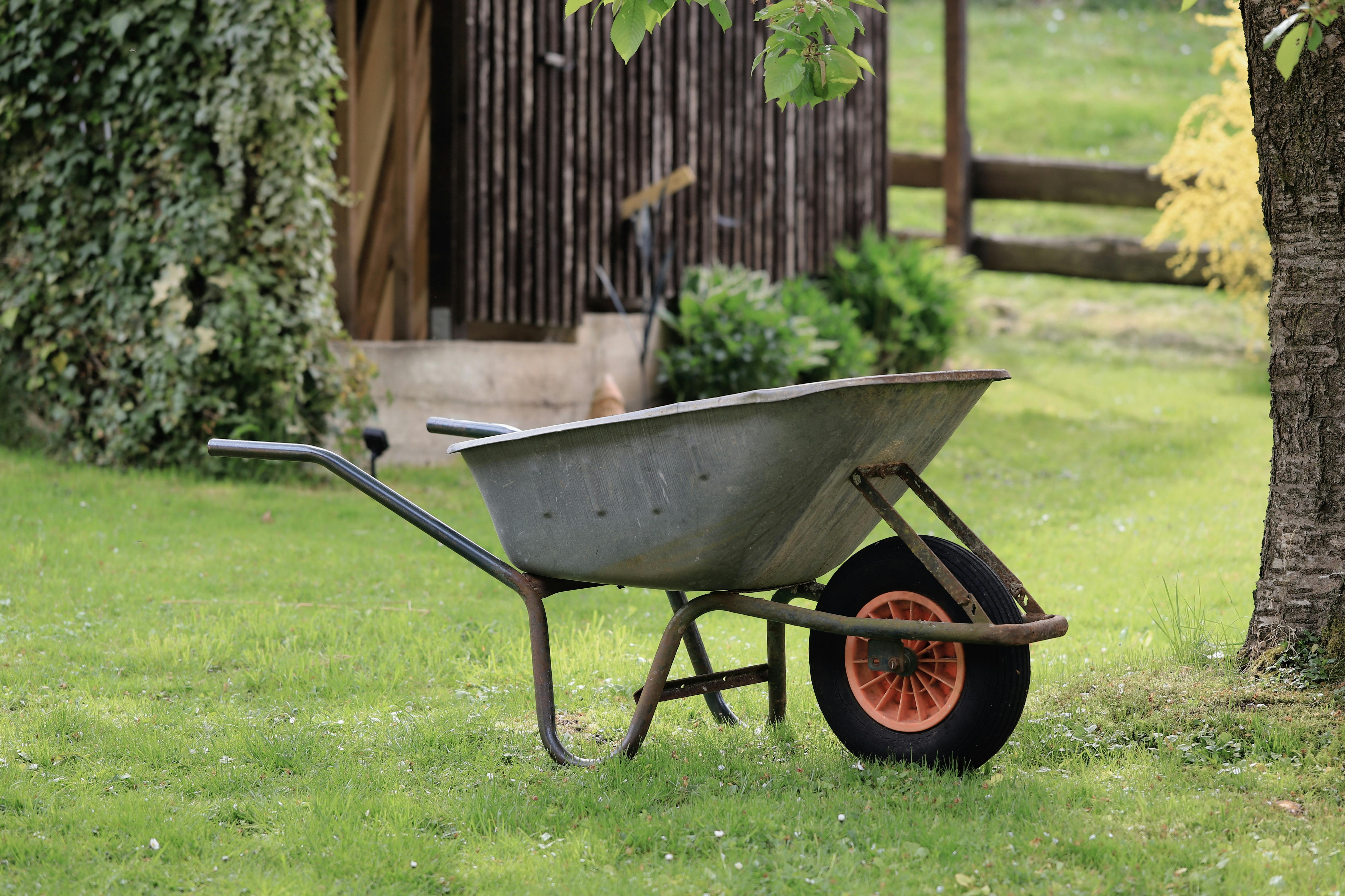 Une brouette rustique se dresse sur l'herbe verte dans un jardin serein, cadre idéal pour les thèmes de jardinage.