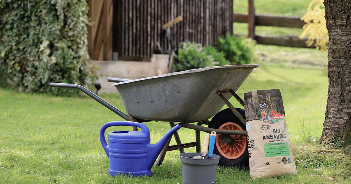 Brouette, arrosoir et outils de jardinage sur la pelouse