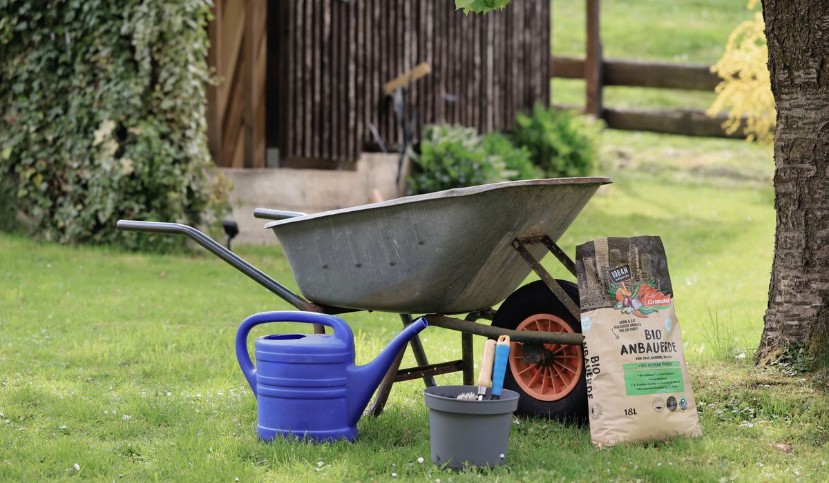 Brouette, arrosoir et outils de jardinage sur la pelouse