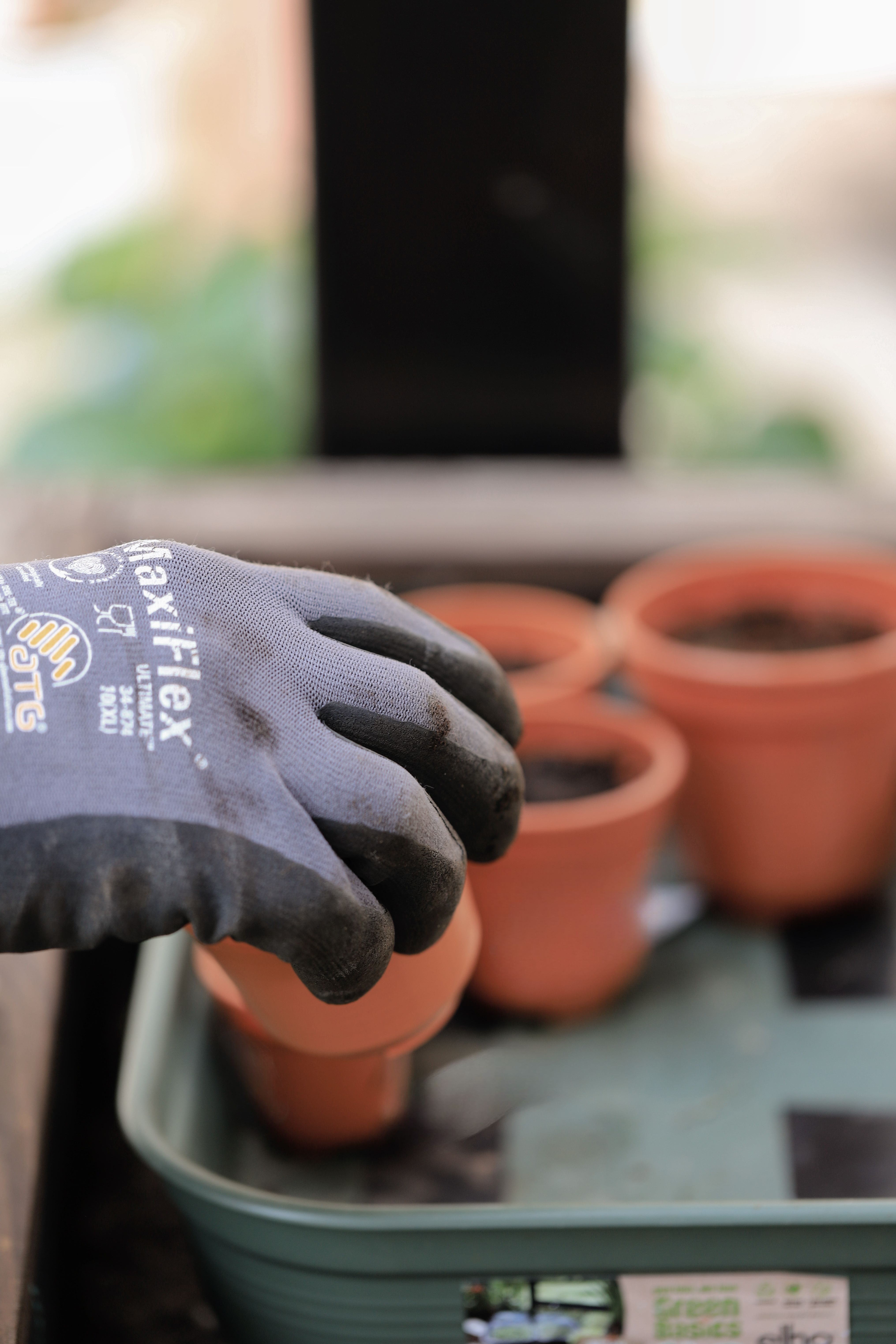 Ocean Friendly Garden Workday with Surfrider Foundation O'ahu