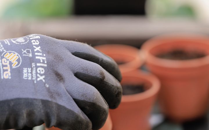 Close-up of a gloved hand handling terracotta pots for gardening indoors.