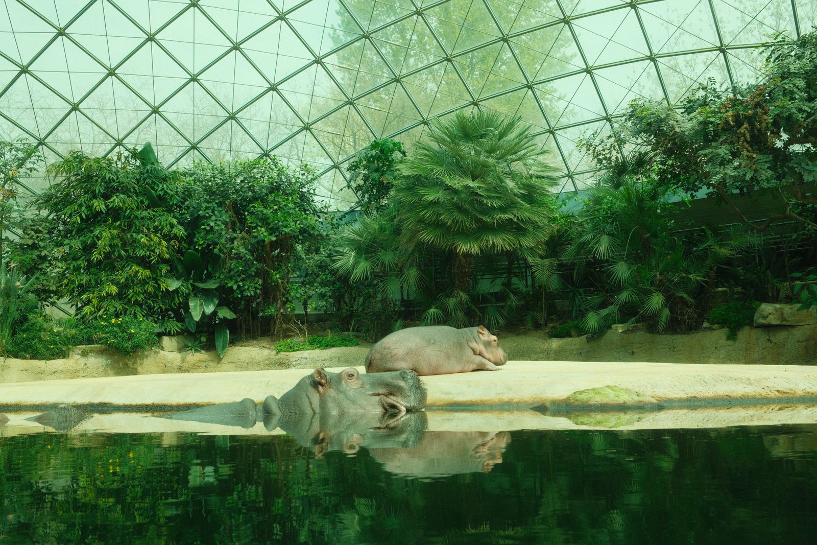 In Leipzig staat de grootste tropenhal van Europa