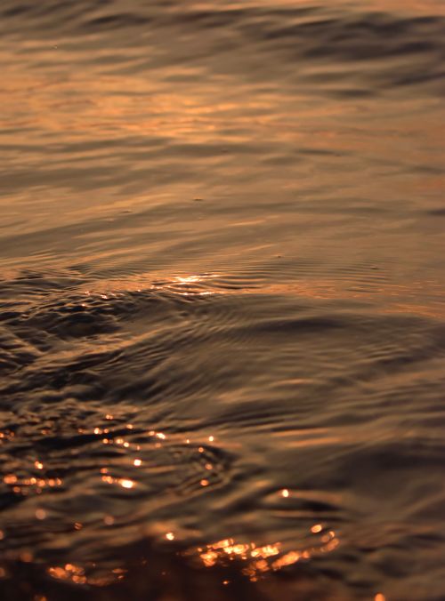 Free Tranquil ocean waves glowing in warm golden sunset light, creating a serene and peaceful ambiance. Stock Photo