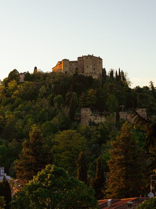 Free A majestic castle on a tree-covered hill at sunset, offering a serene natural landscape view. Stock Photo