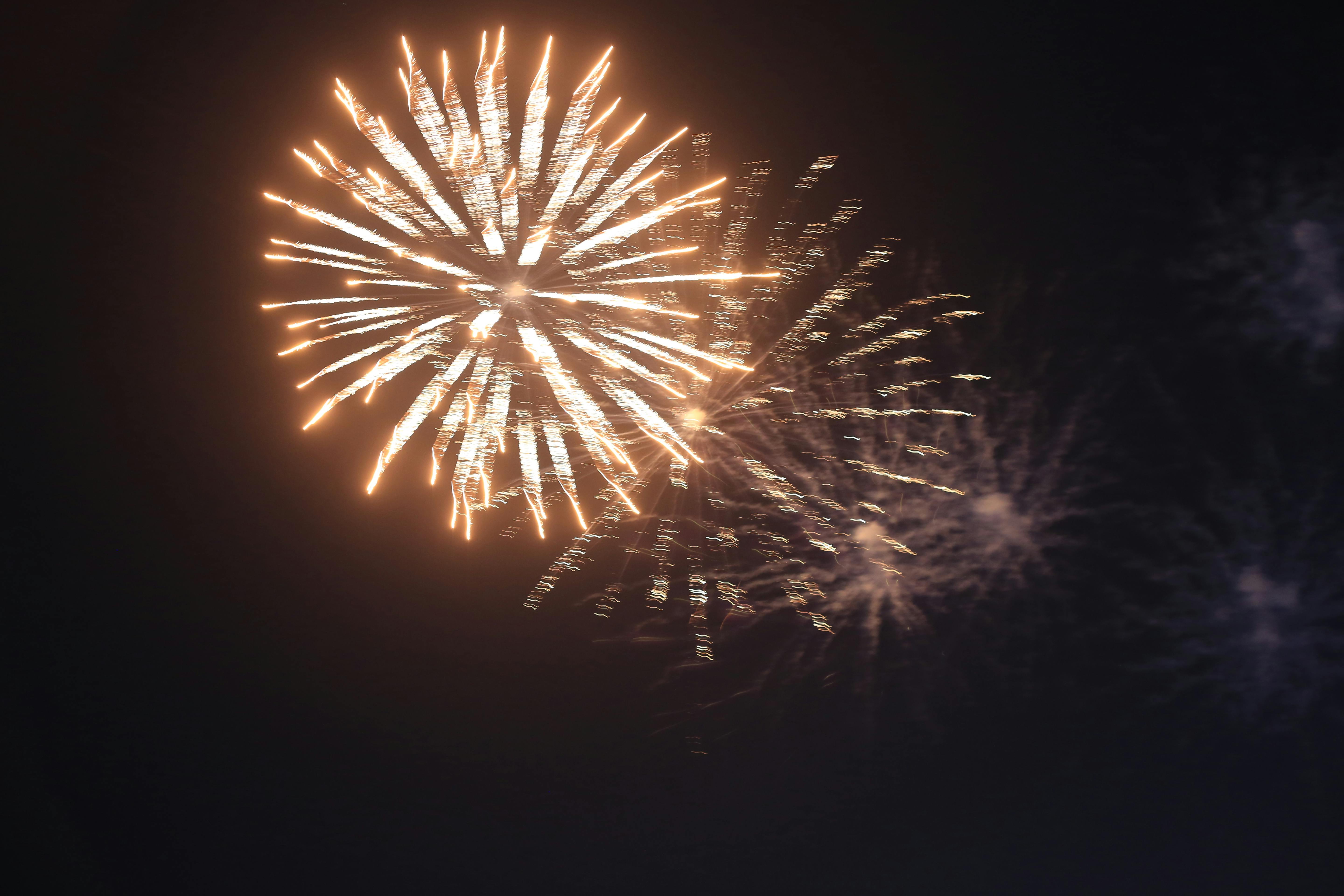 世界の人気都市の夜景と美食のイメージ