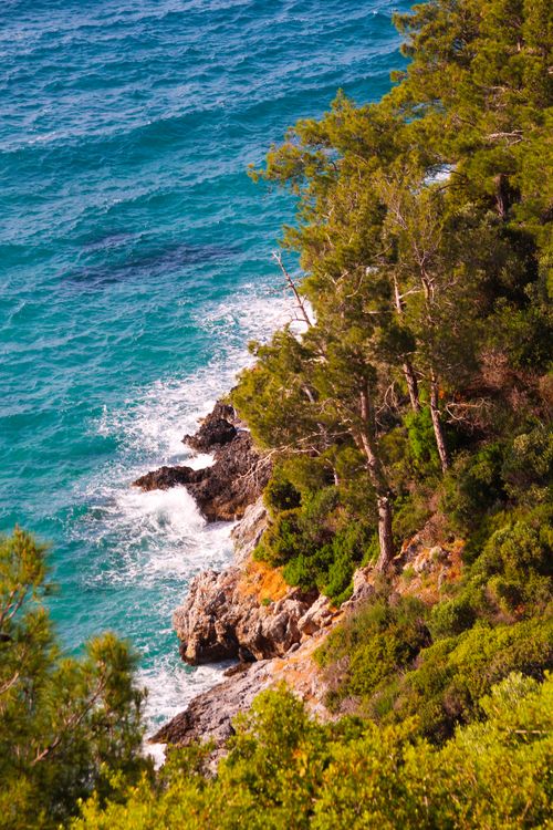 Free A vibrant view of a cliffside pine forest against a turquoise sea, capturing nature's beauty. Stock Photo