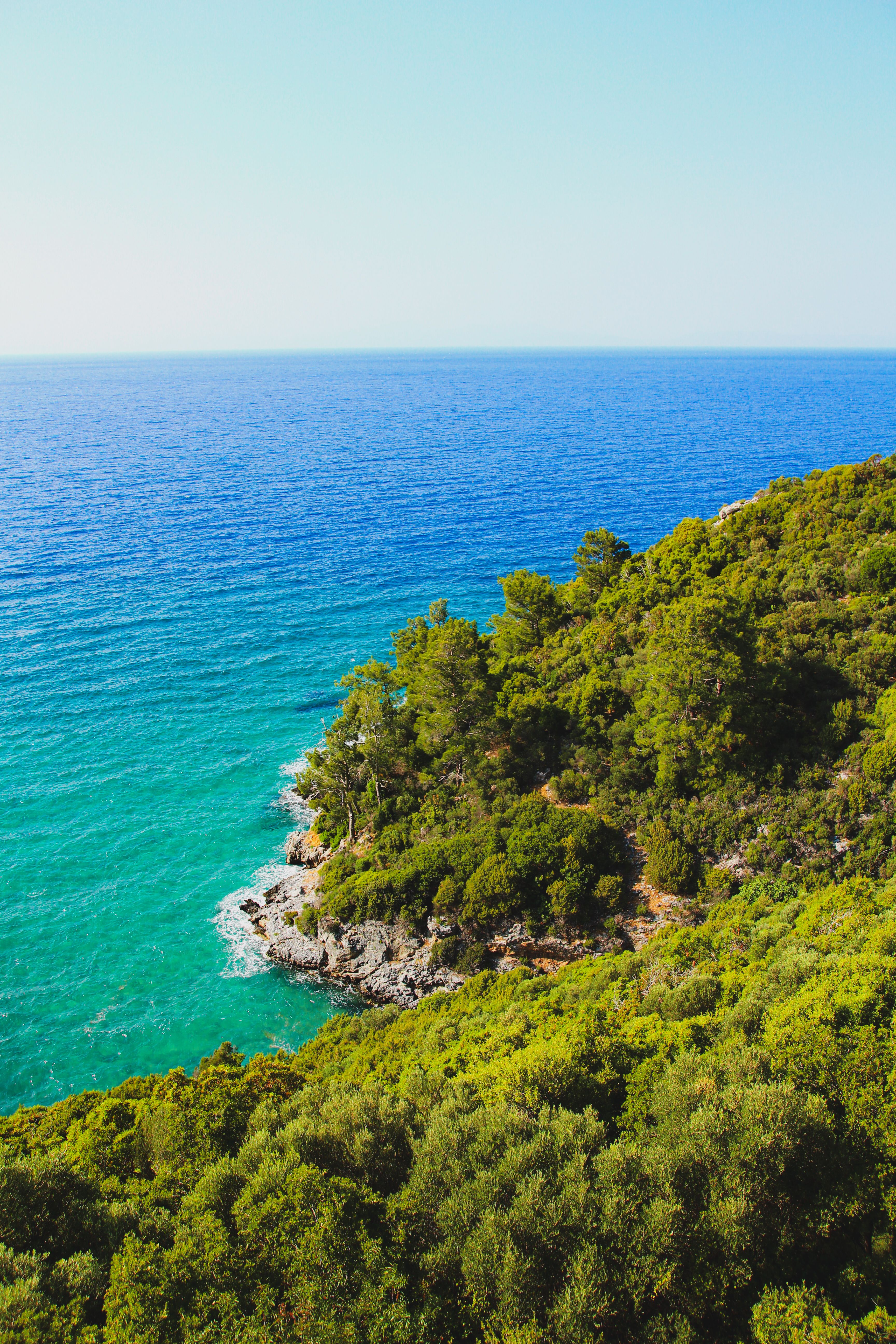 Scenic Coastal View of Lush Greenery and Blue Ocean · Free Stock Photo