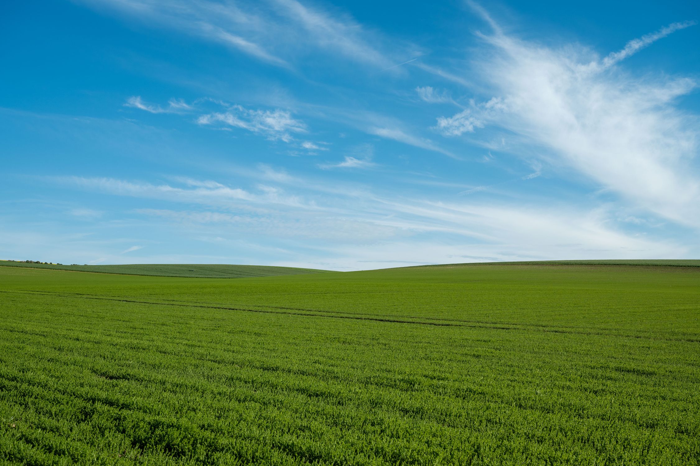 Scenic Green Fields Under a Clear Blue Sky · Free Stock Photo