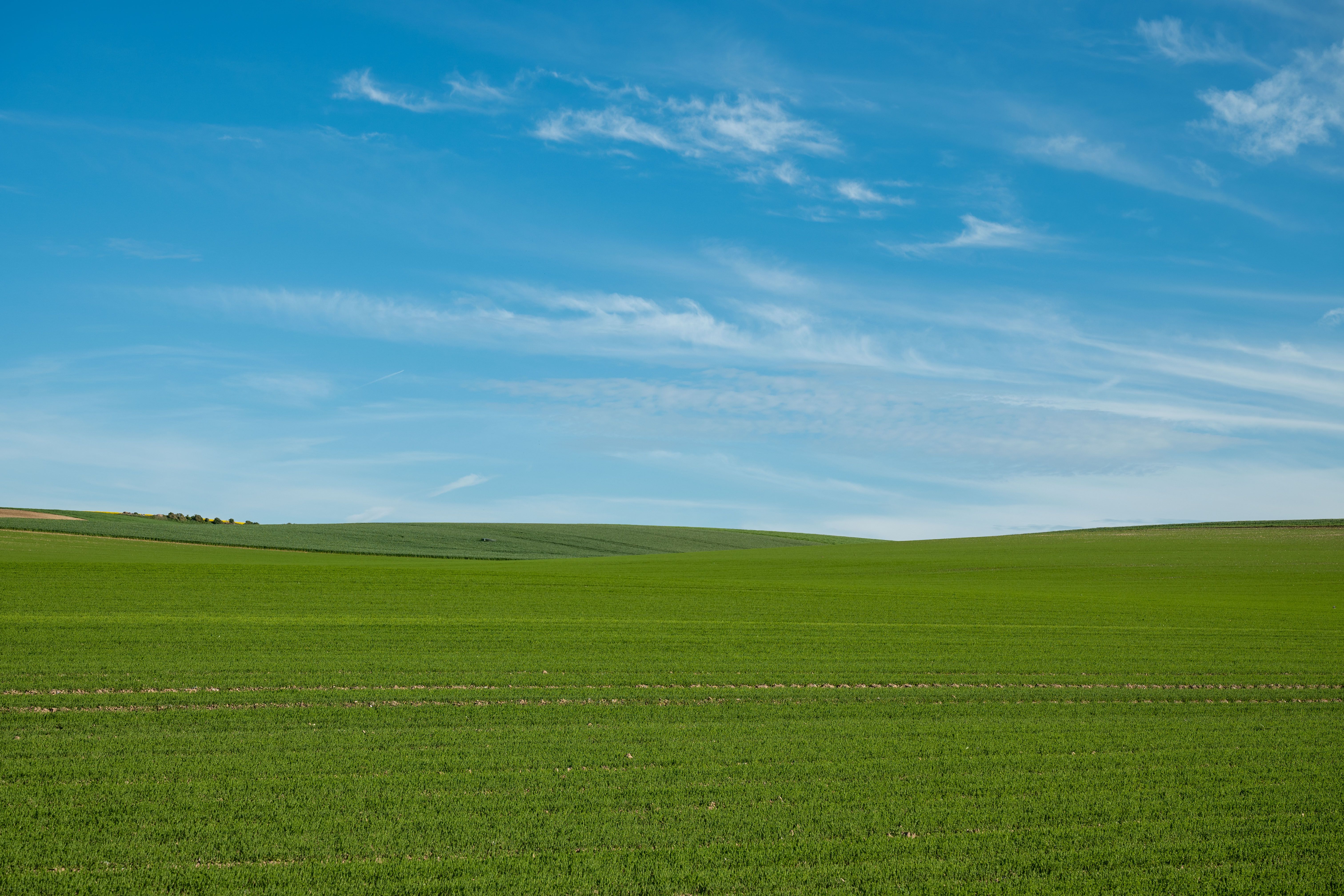 Serene Green Field under Clear Blue Sky · Free Stock Photo