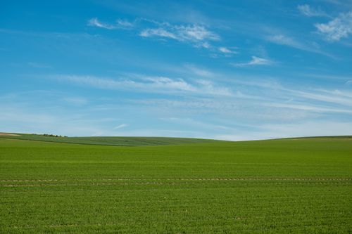 Free A vast green field in Escalles, Hauts-de-France, under a clear blue sky, ideal for nature enthusiasts. Stock Photo