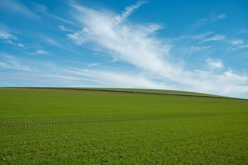 Free A wide green field with clear blue skies and wispy clouds over Escalles, France. Stock Photo
