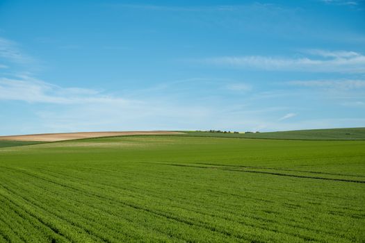 Plaine-Haute