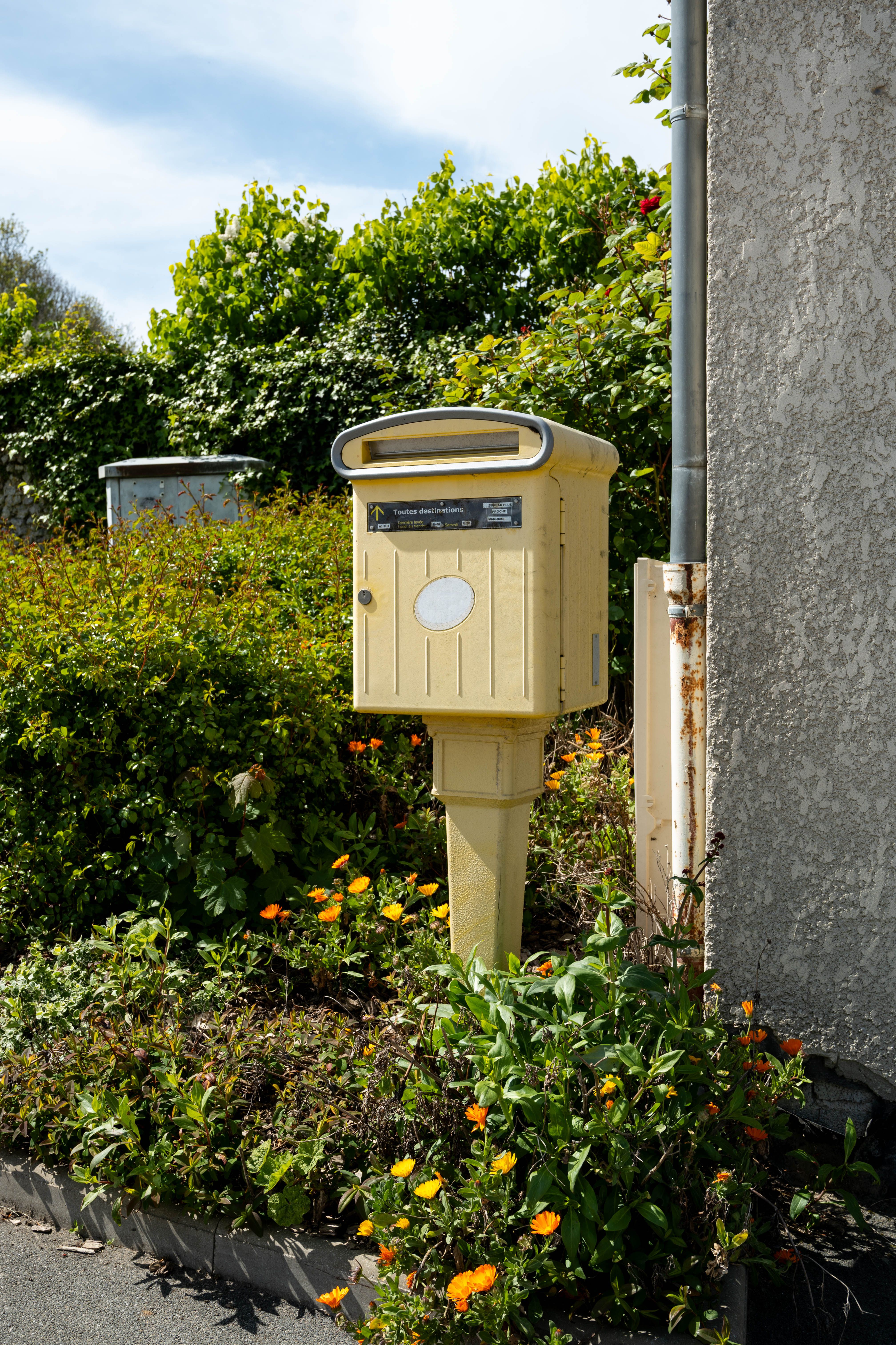 Vintage French Mailbox in Lush Garden Setting · Free Stock Photo