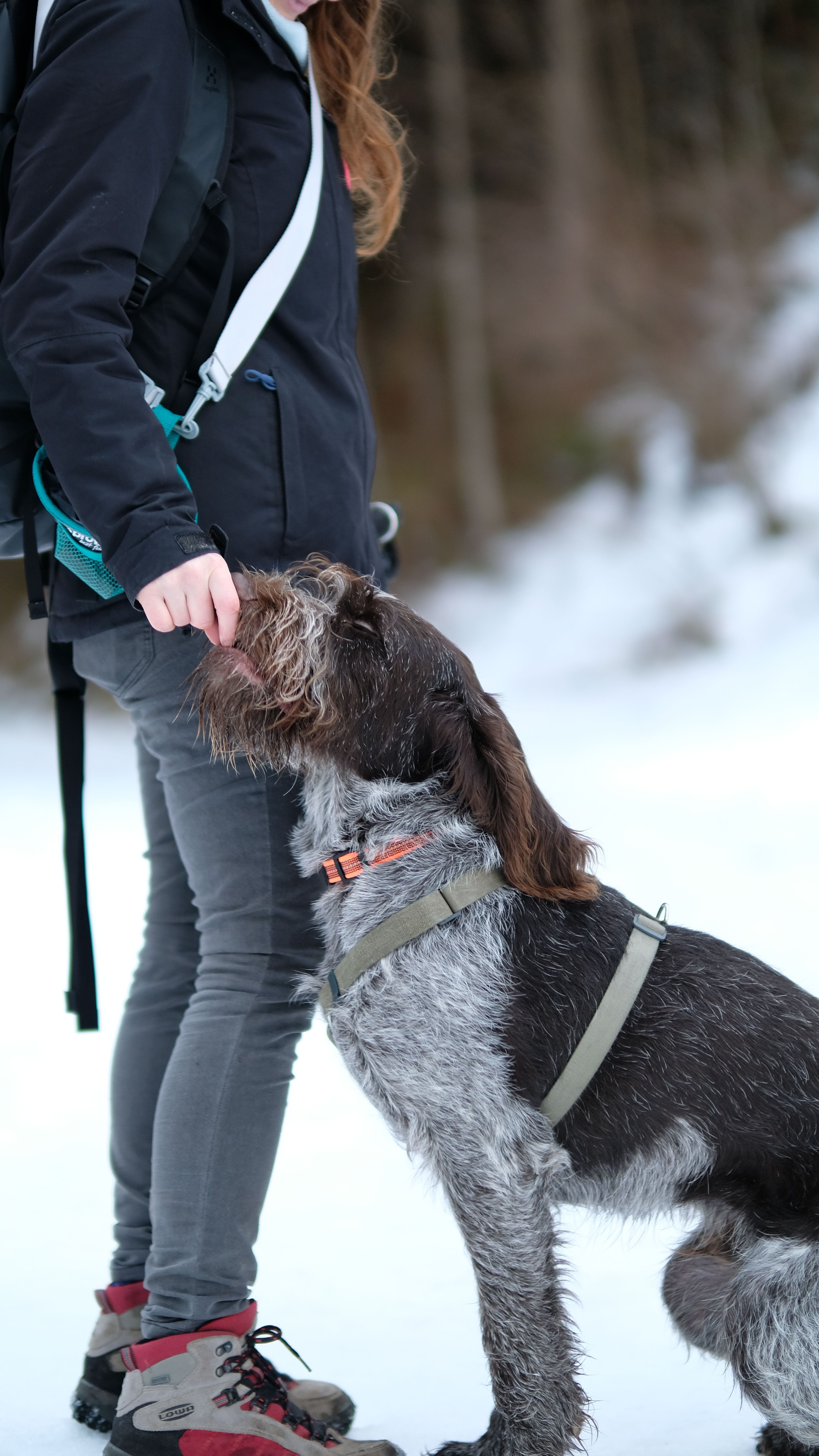 A woman in winter clothing training a dog in snowy environment.