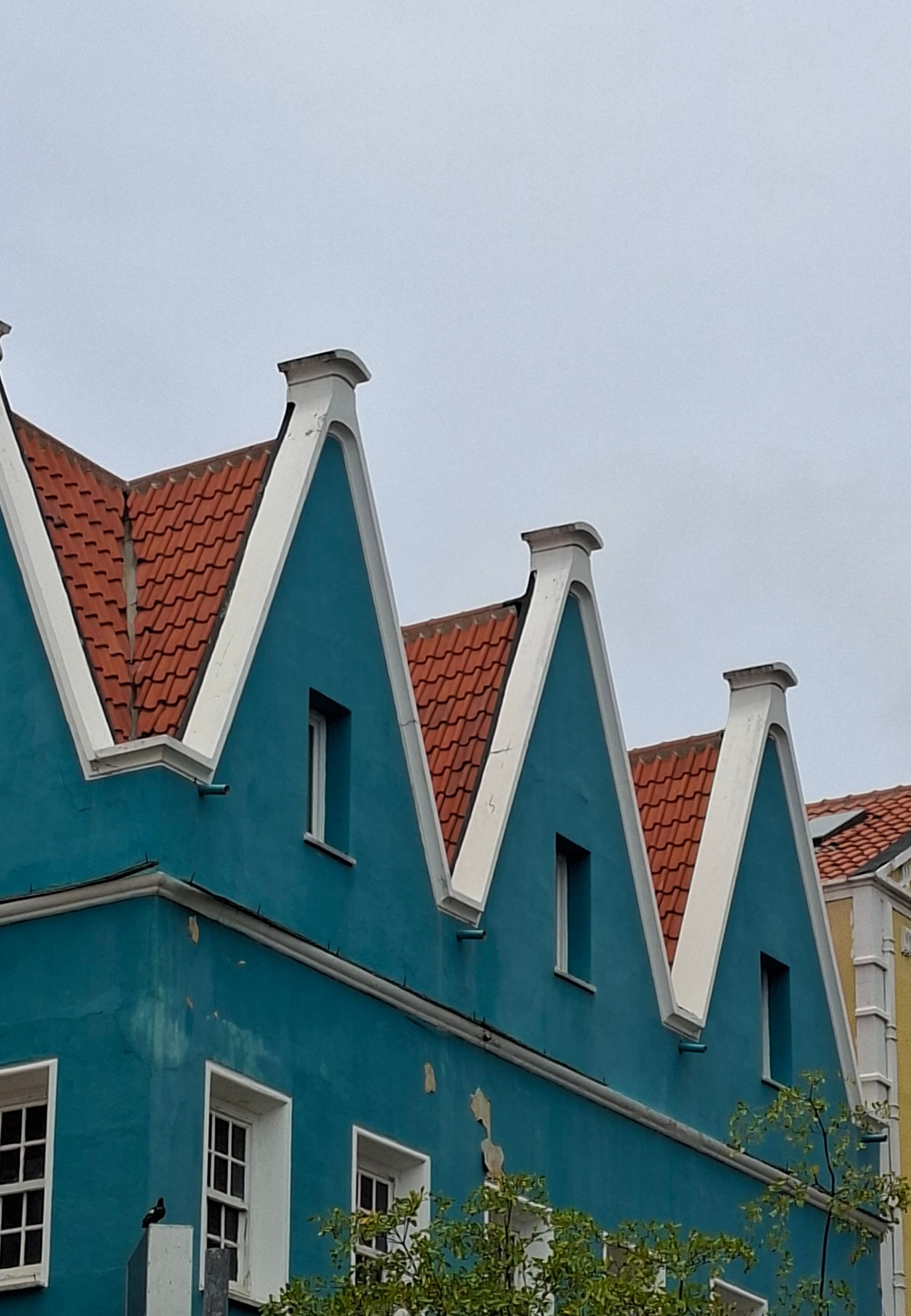 Tropisch woonhuis met tuin en palmboom op Curaçao