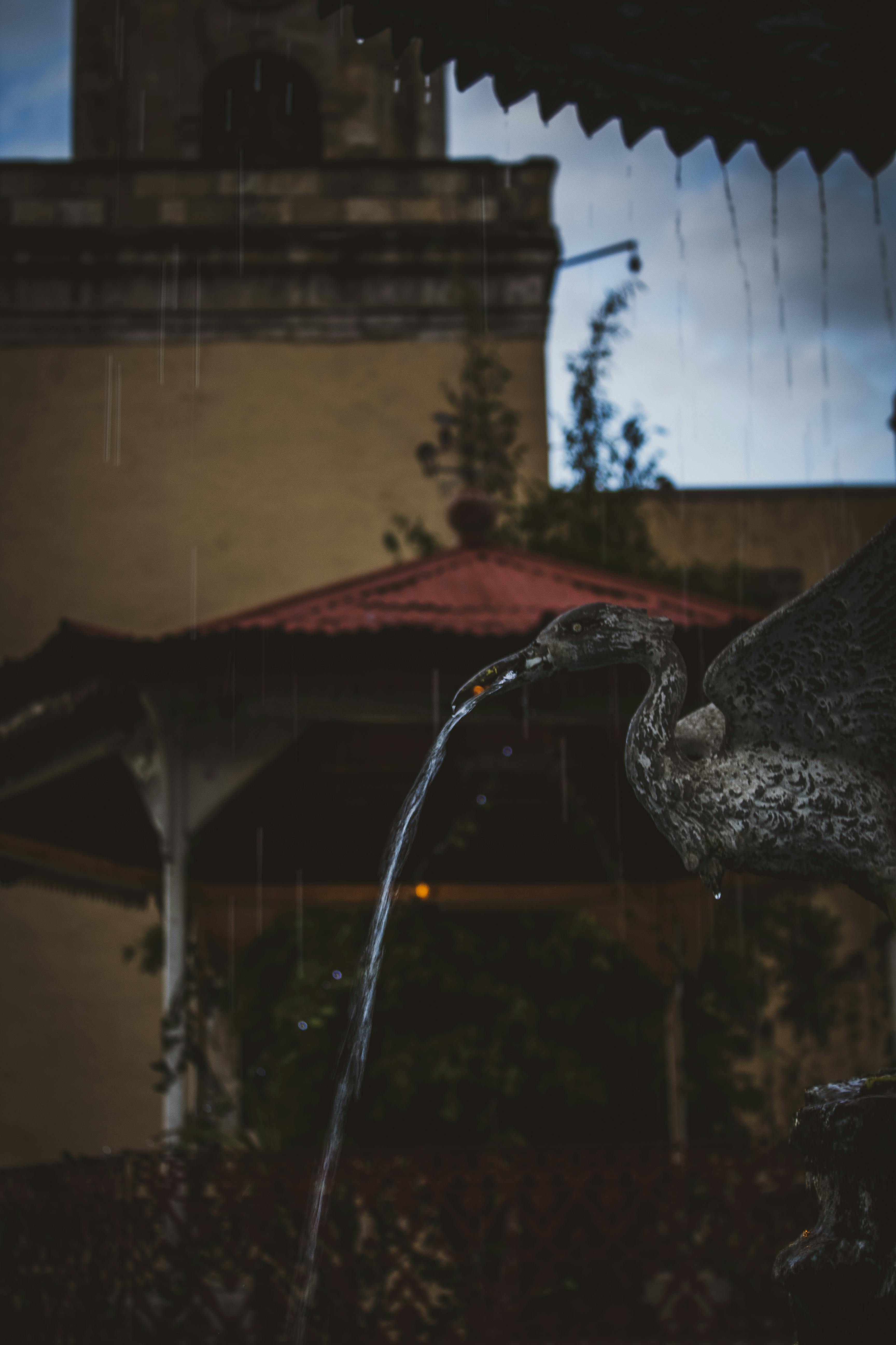 Person holding a smartphone with a positive review of a short-term rental property