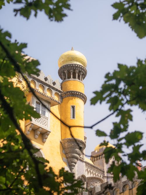 Gratis Esplora la splendida architettura del Palazzo di Pena a Sintra, in Portogallo, immerso nel verde lussureggiante della vegetazione. Foto a disposizione