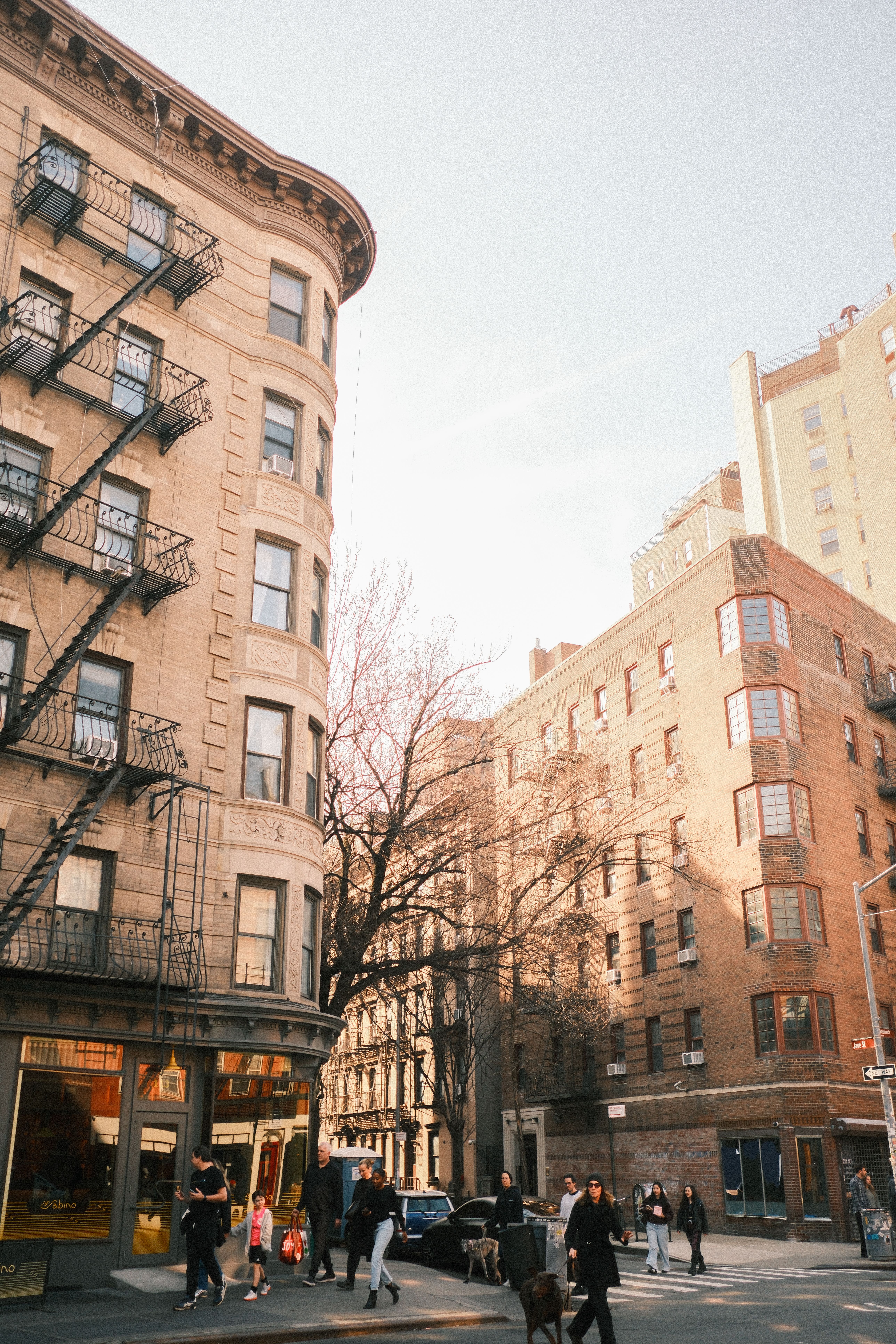Sunny Day in a New York City Neighborhood · Free Stock Photo