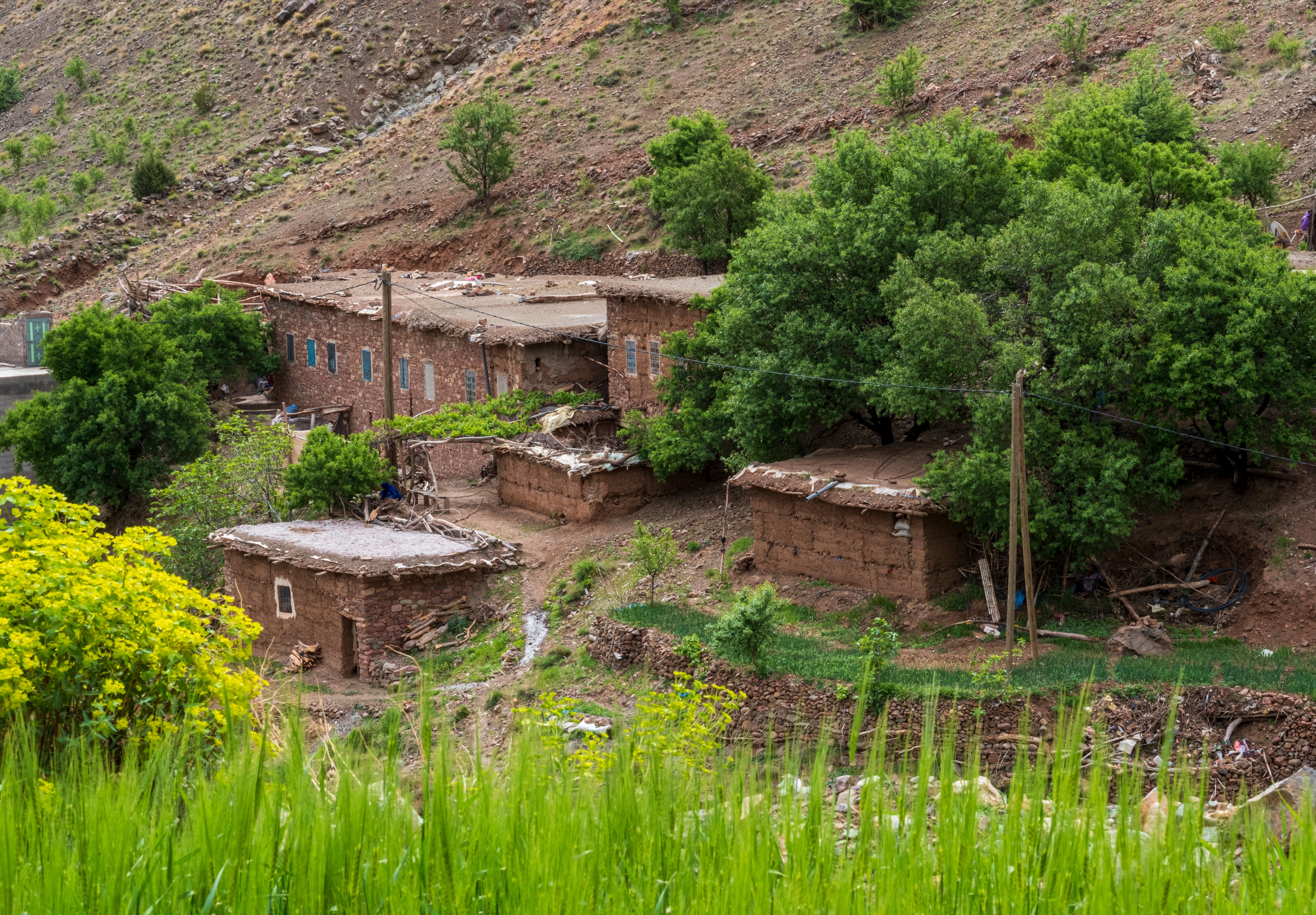 Scenic view of traditional mud brick homes surrounded by greenery in rural Morocco.