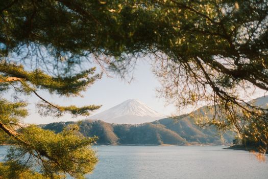 Scenic view of Mount Fuji framed by trees, captured from Fujikawaguchiko, Japan.