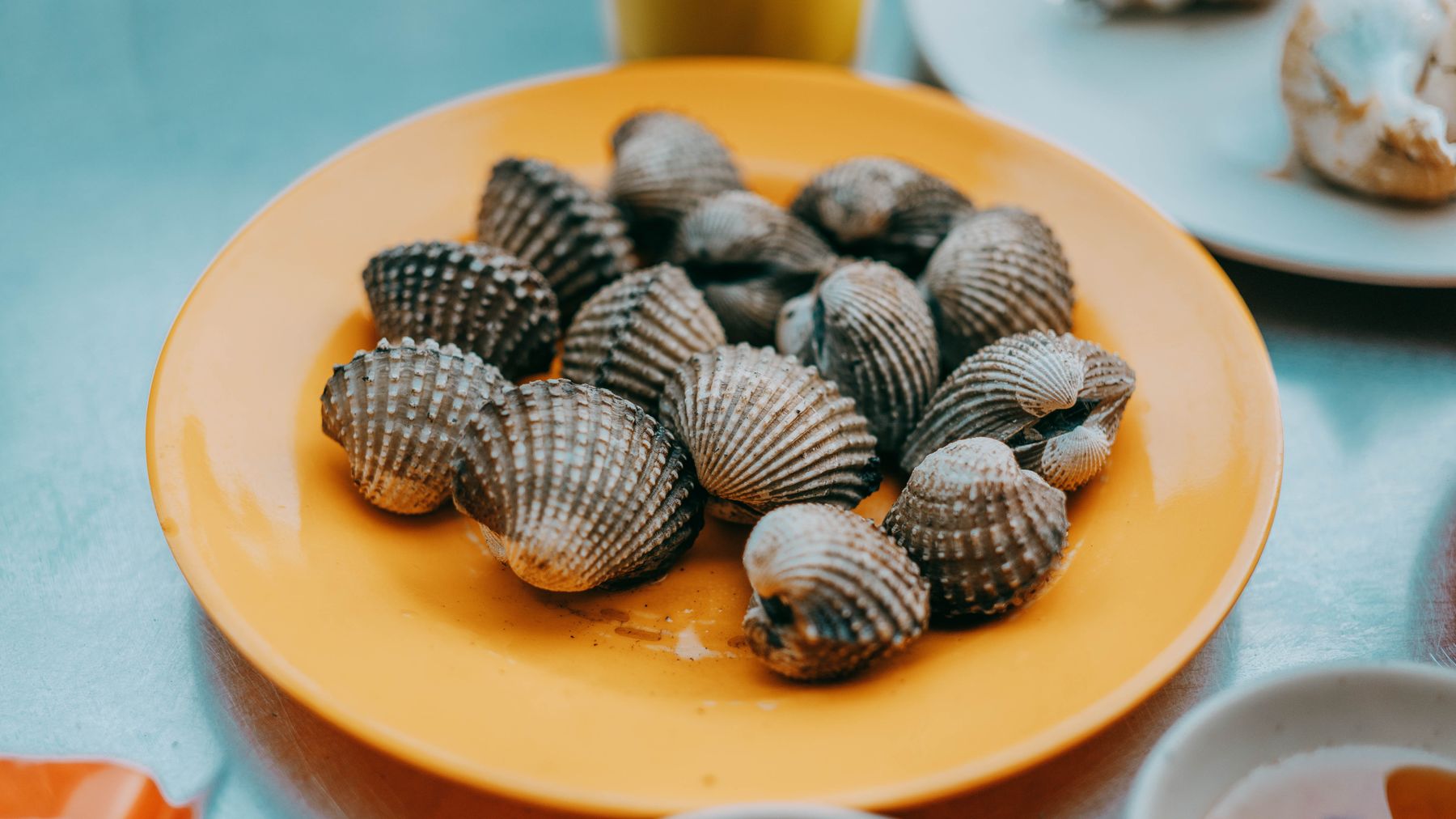 A close-up view of fresh cockles on an orange plate, perfect for culinary themes.