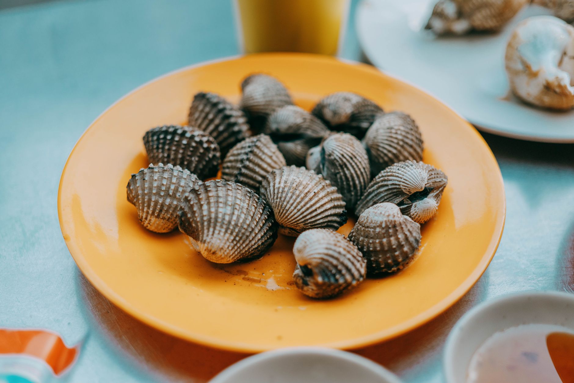 Cockles in a Polystyrene Pot