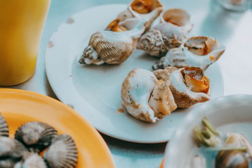 Free Appetizing display of cooked shellfish and seafood dishes on vibrant plates. Stock Photo