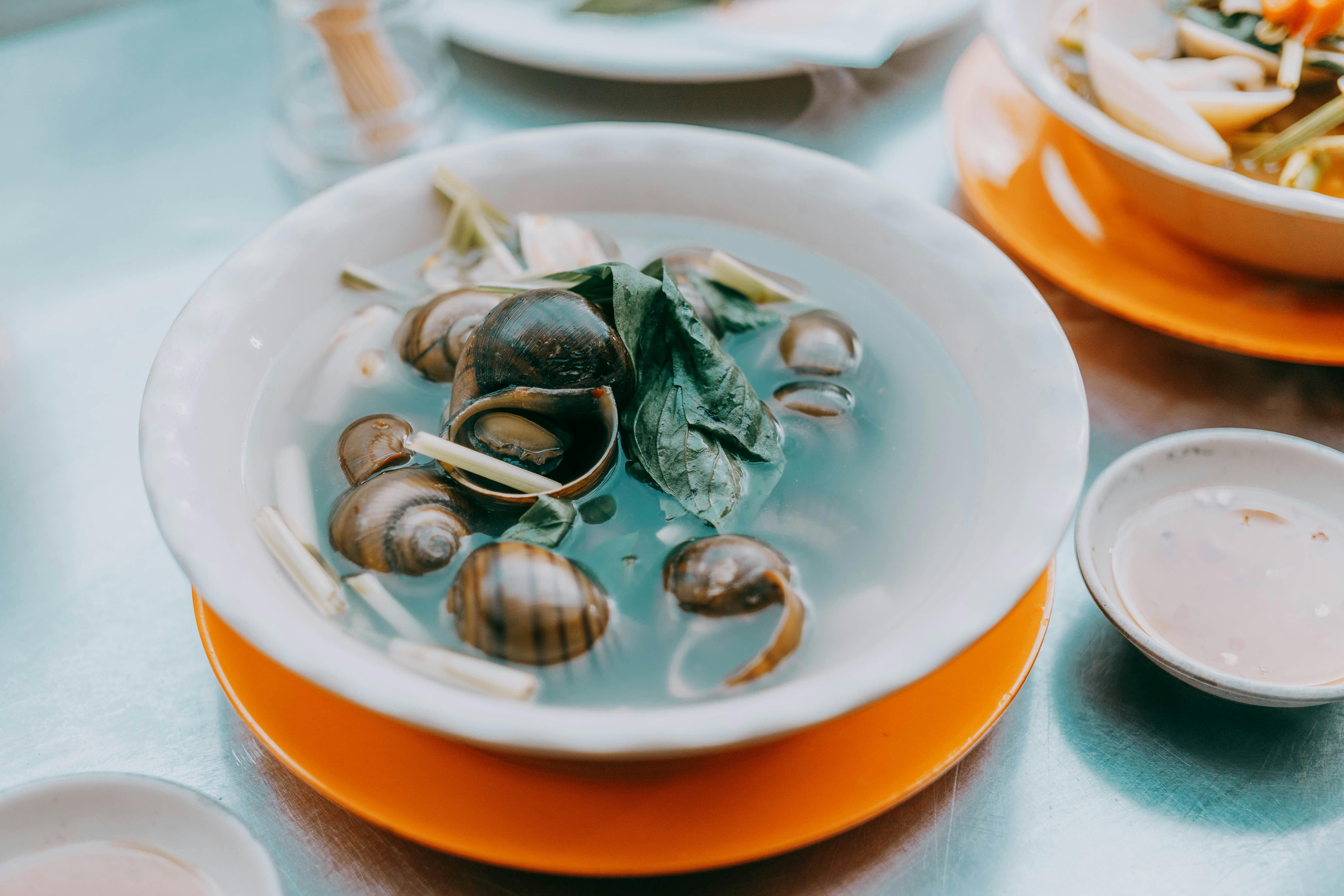 A vibrant dish featuring Asian snail soup with fresh herbs in a white bowl, perfect for Asian cuisine lovers.