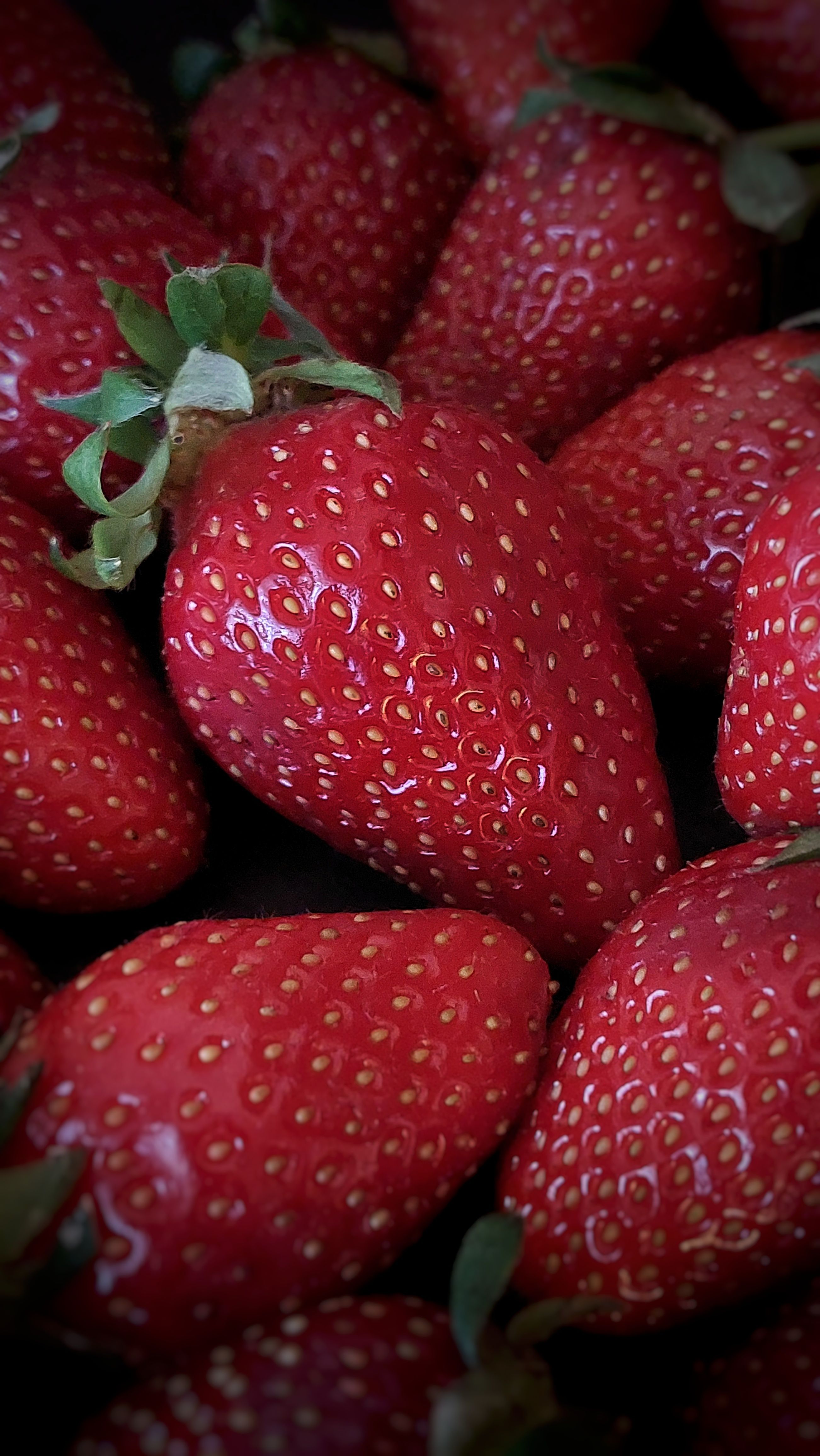 Close-up of Fresh Organic Red Strawberries · Free Stock Photo