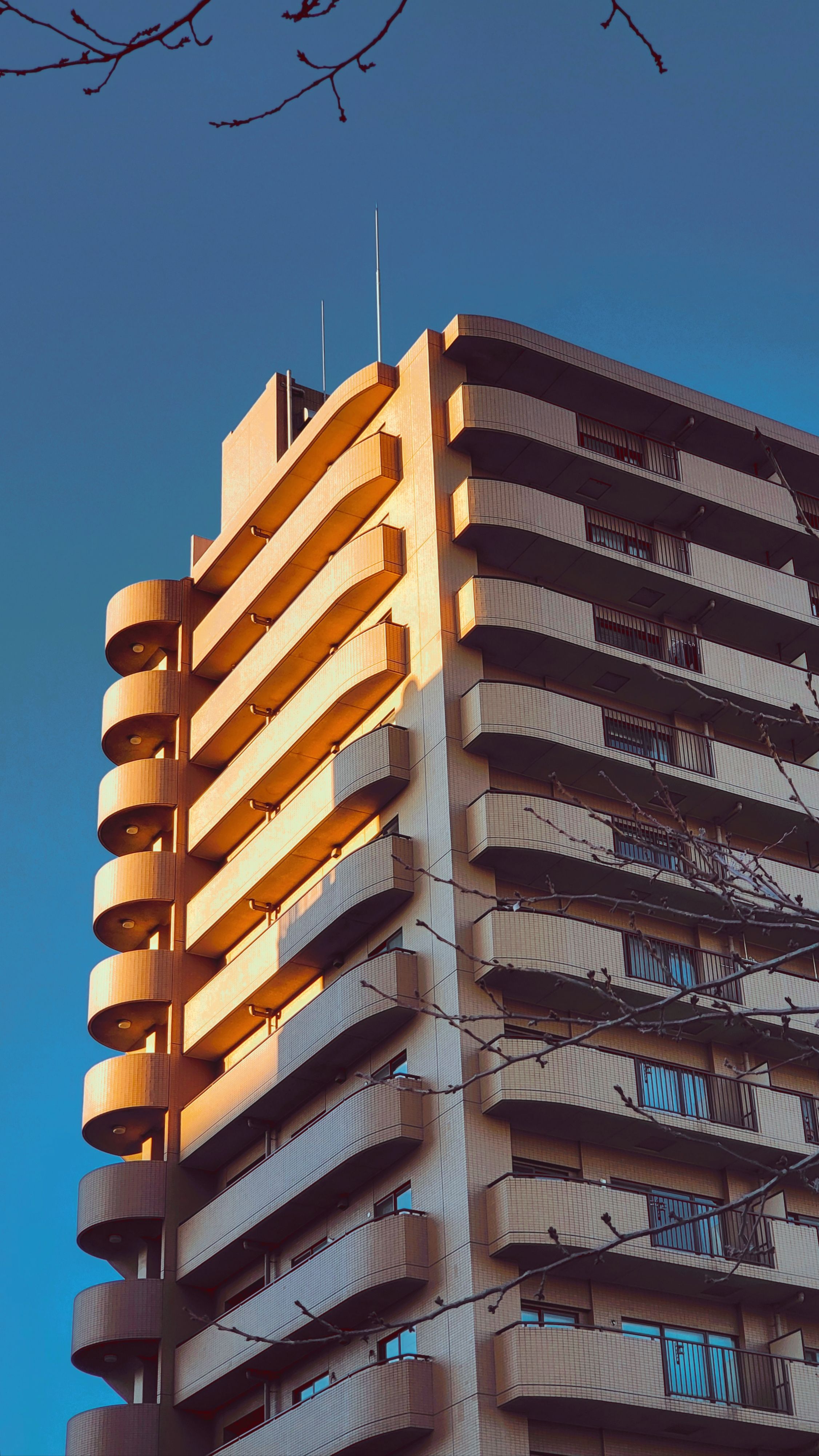 夕方の光が当たるマンションのバルコニー