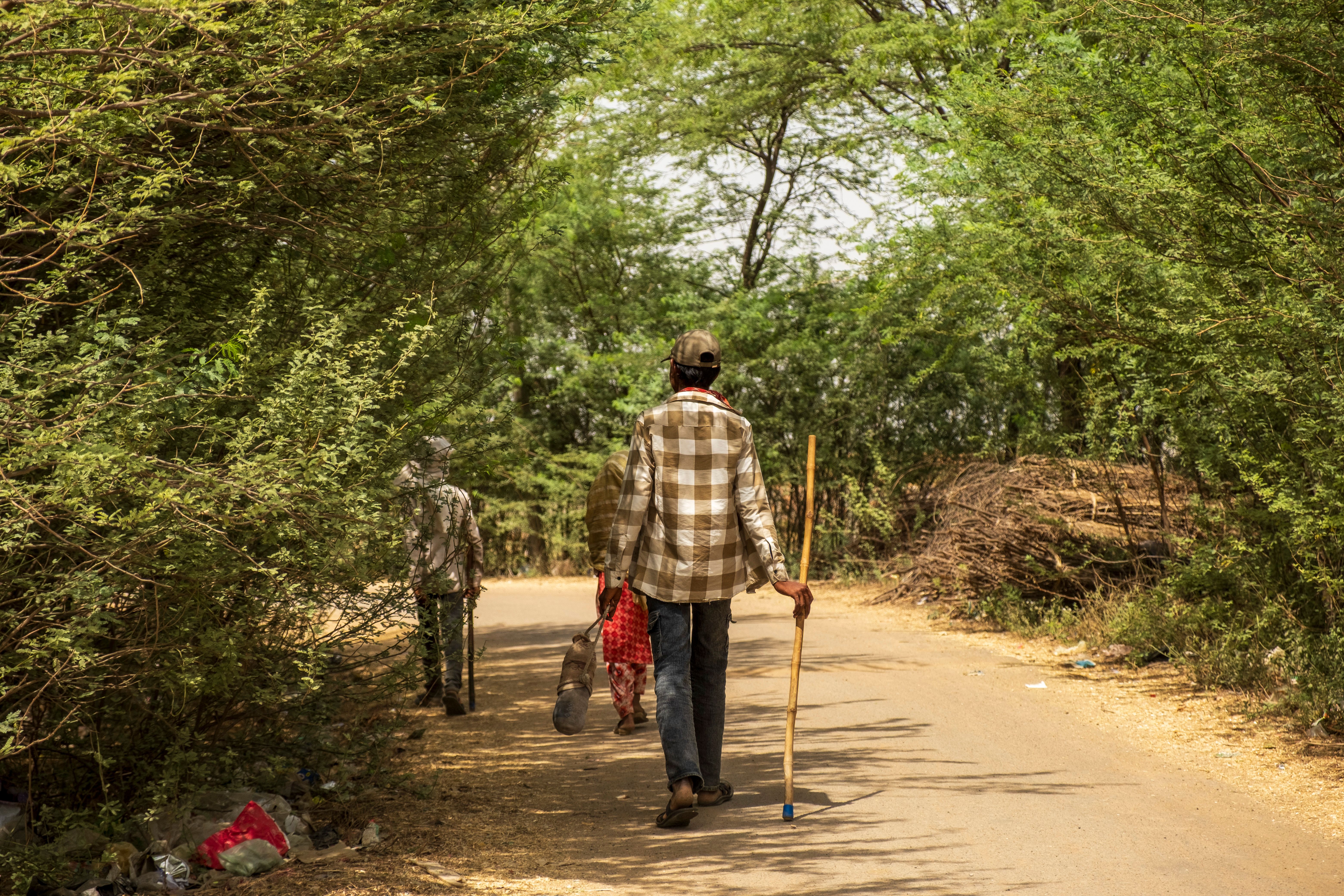 Walking-sticks, seat-sticks, whips, riding-crops and the like