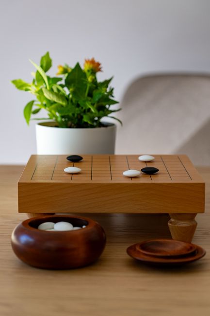 居家環境中的圍棋棋盤與植物