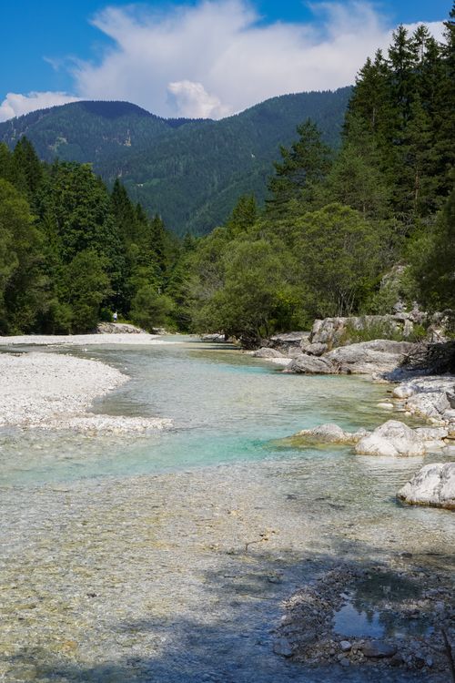 Free A serene river stream flowing through lush green trees in Slovenia's Triglav National Park. Stock Photo