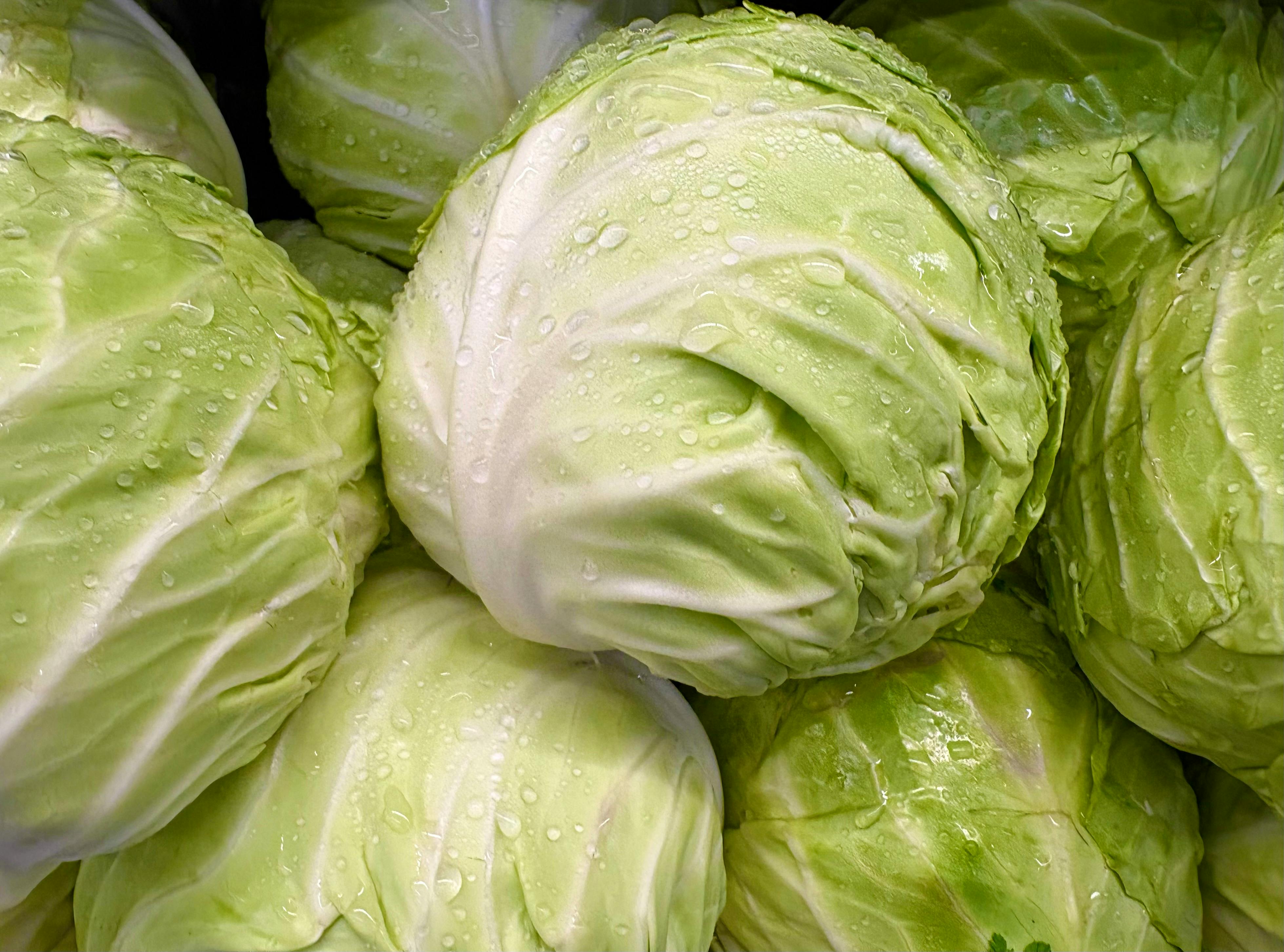 specialty diets what is a special diet — Photo by L. Lum on Pexels