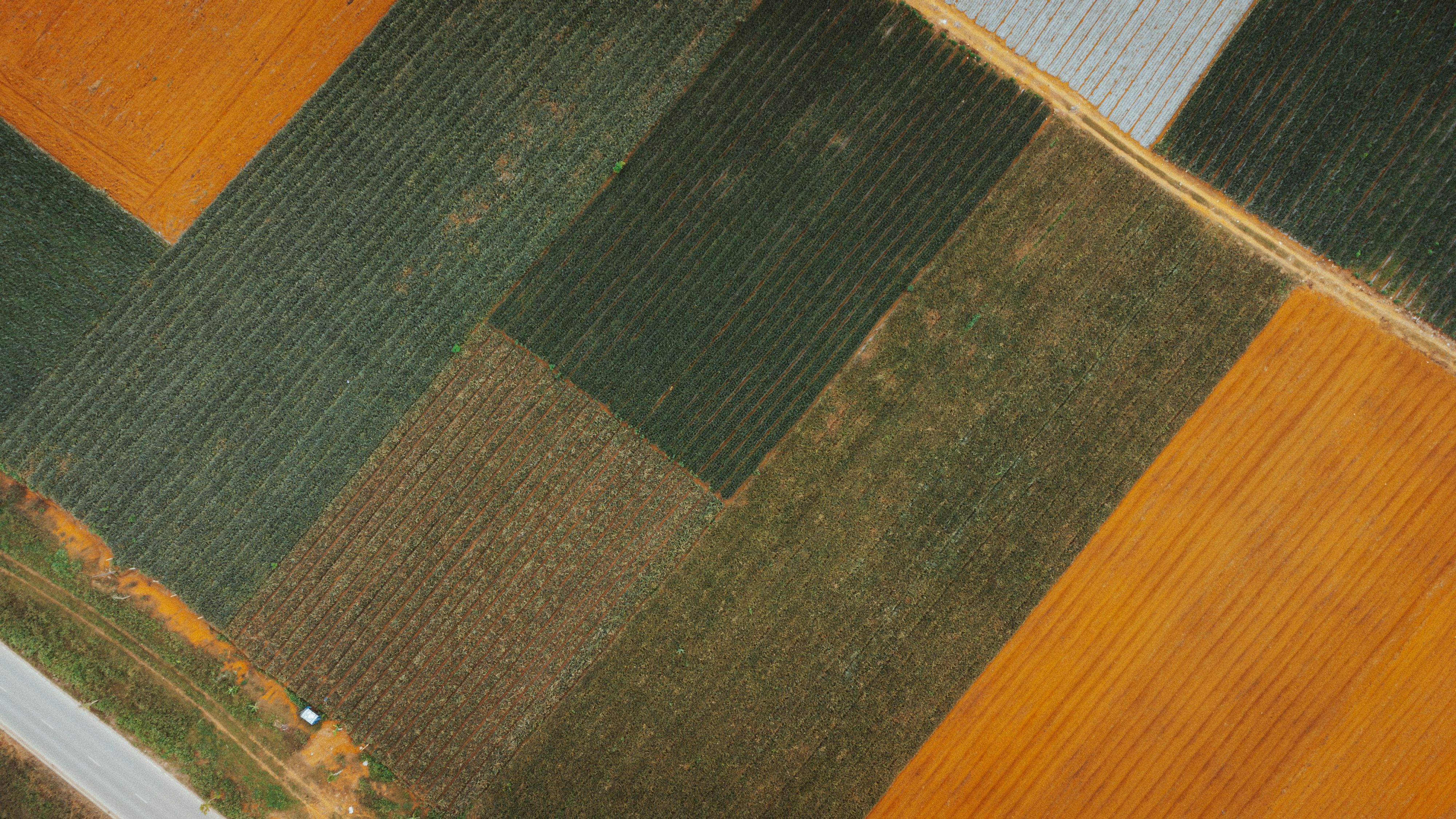 Aerial View of Colorful Patchwork Farmland in Vietnam · Free Stock Photo