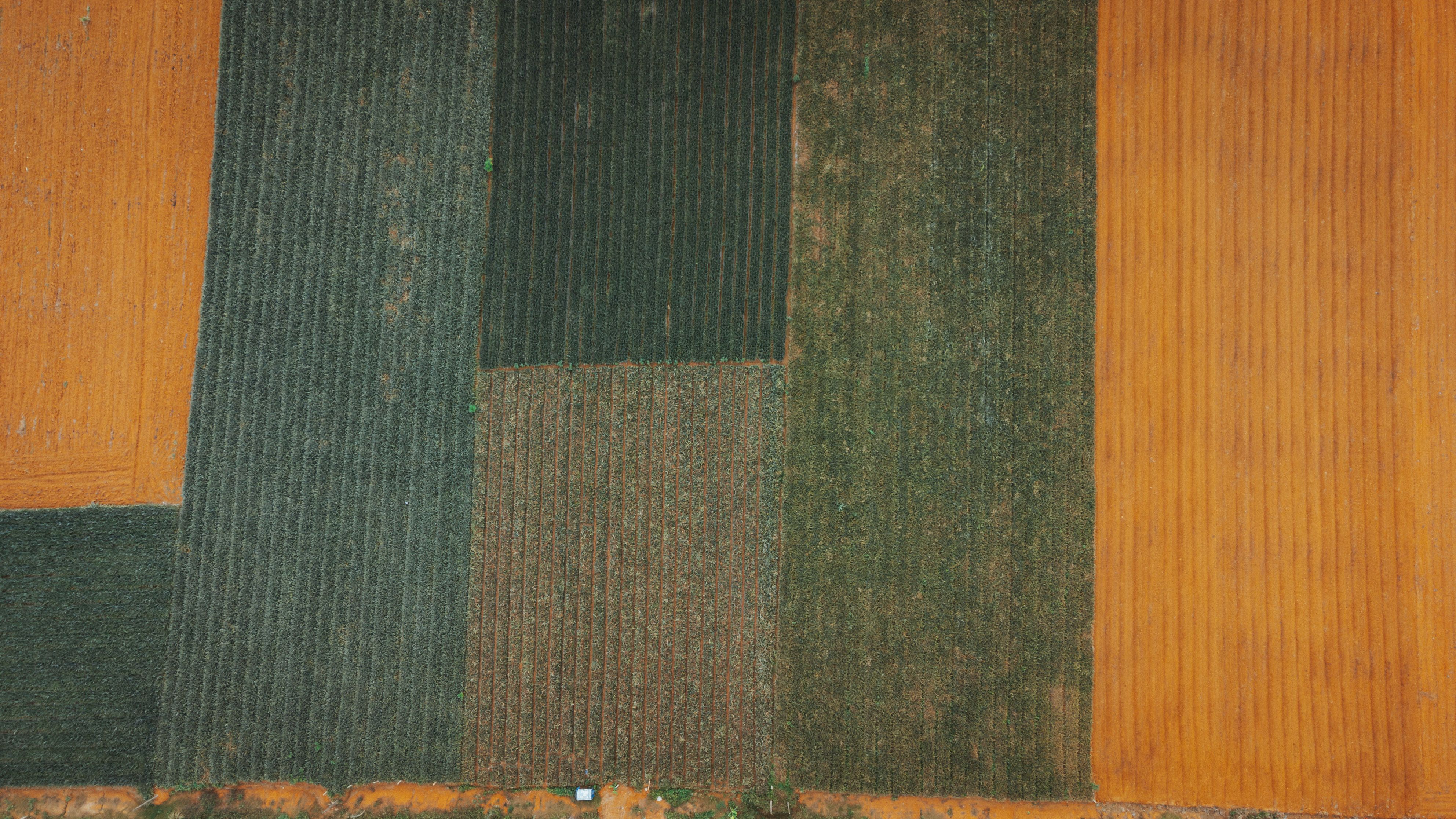 How Cutting-Edge Technology Is Transforming Drone Farming