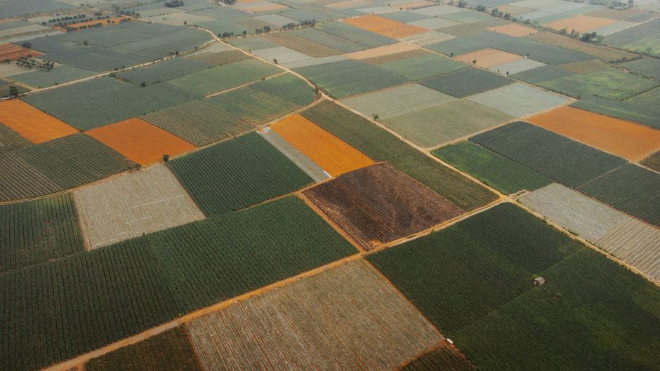 aerial view Florida farms