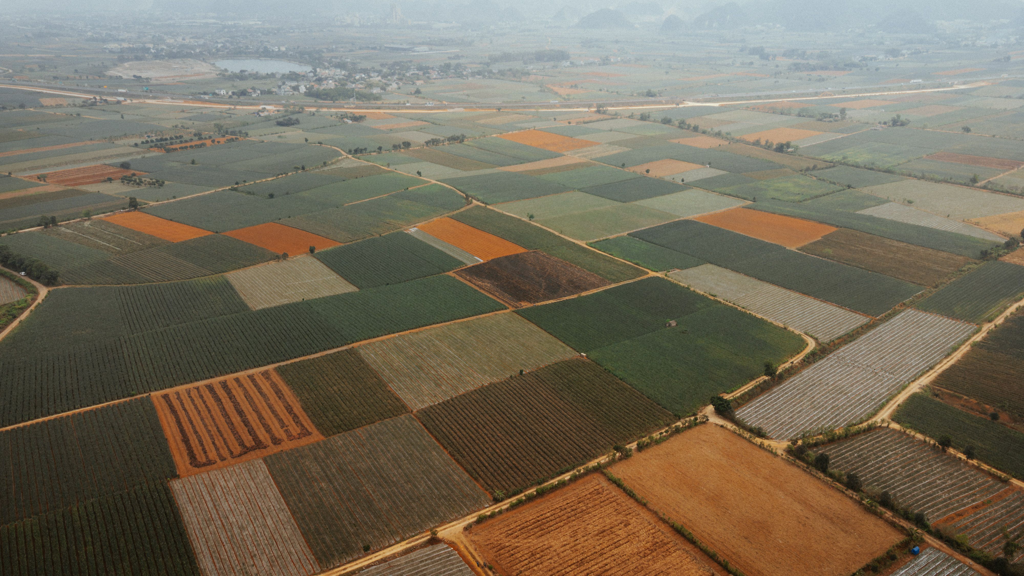 Aerial View of Lush Agricultural Fields in Vietnam · Free Stock Photo