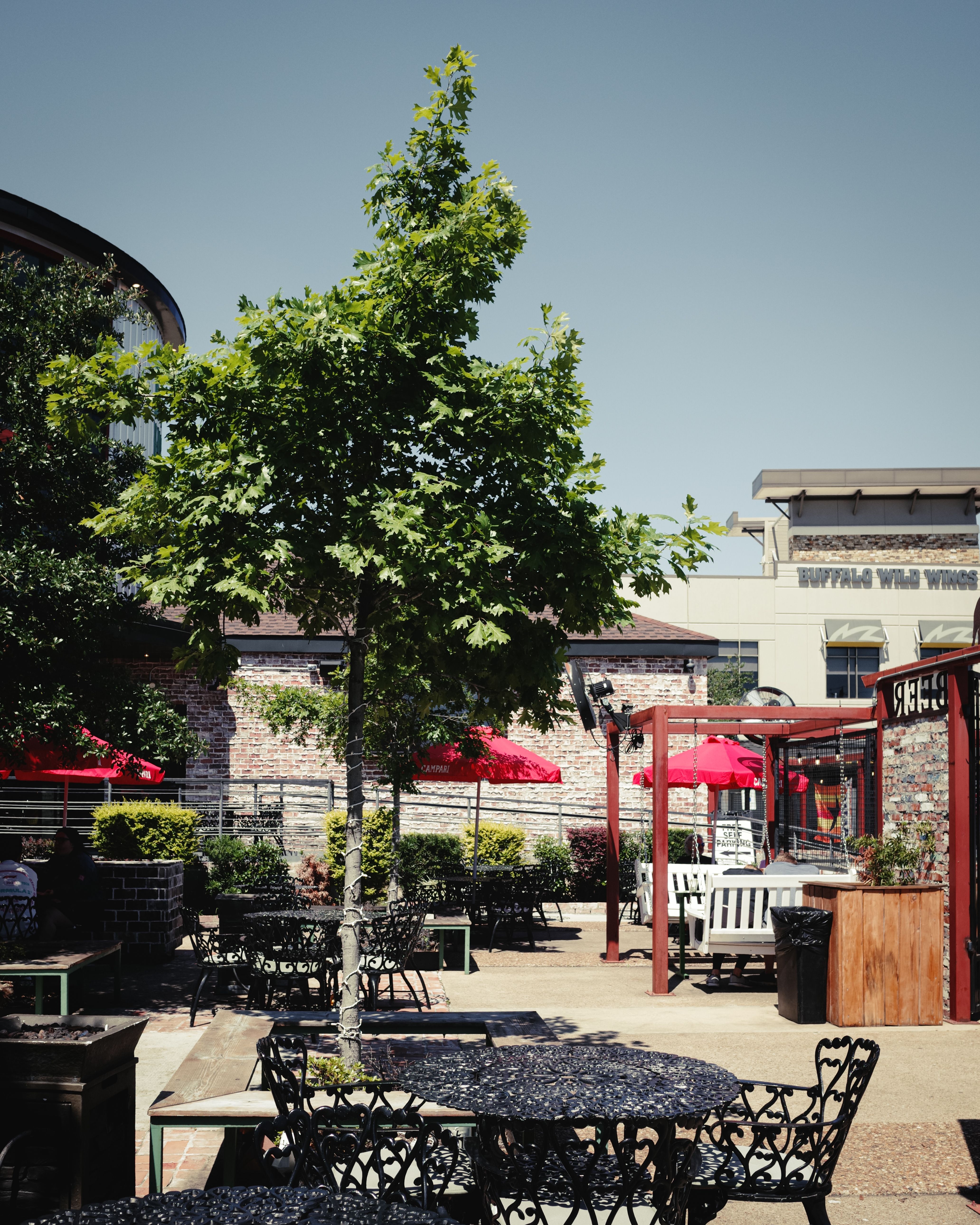 Restaurants and activities in Celina, TX