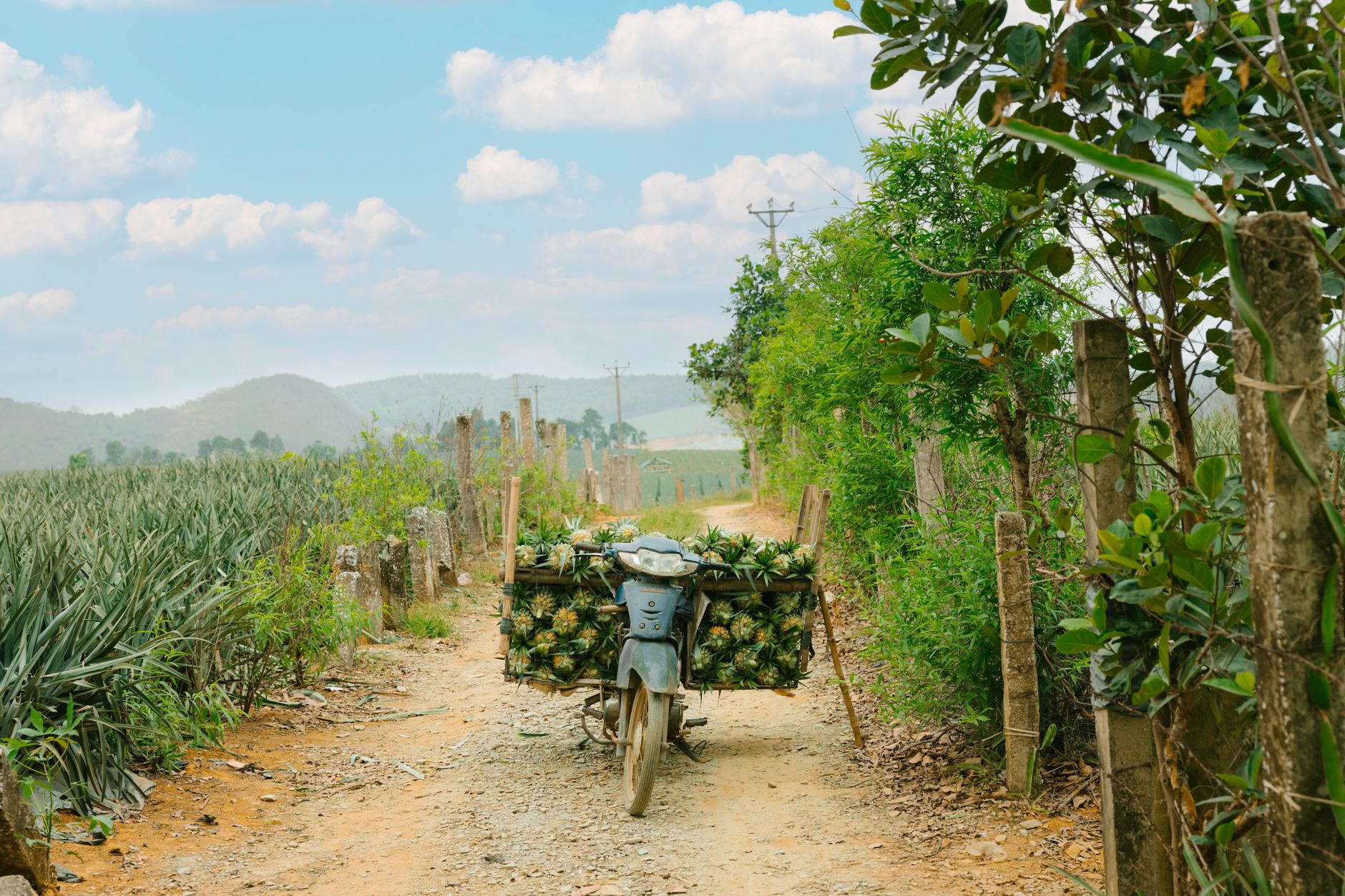 East coast Madagascar harvest transport logistics