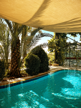Tranquil shaded pool area surrounded by lush palm trees, perfect for relaxation.