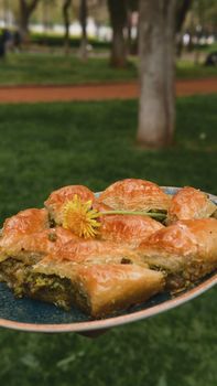 Greek Dandelion (Radikia)