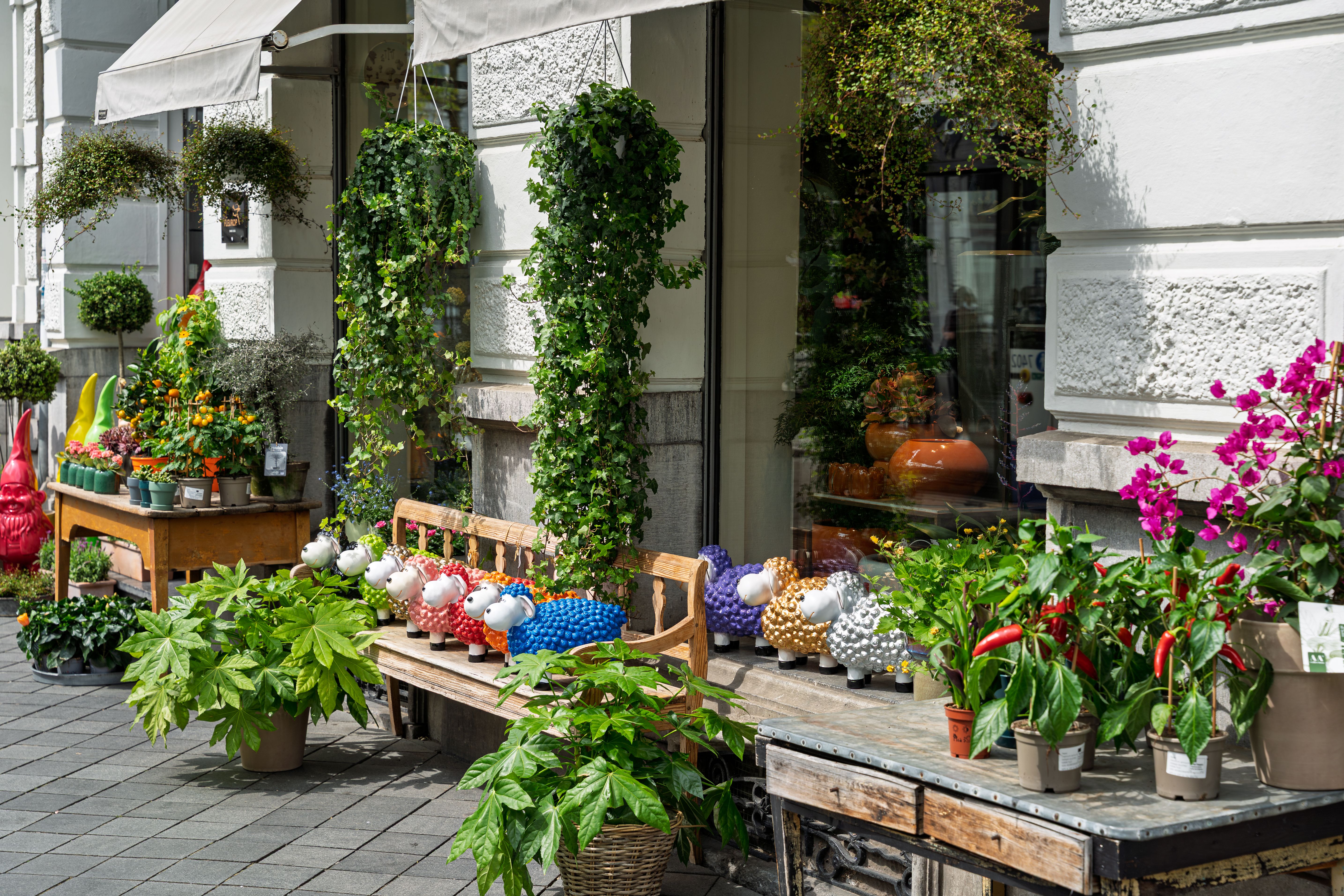 general lifestyle shop ca — Photo by Martijn Stoof on Pexels