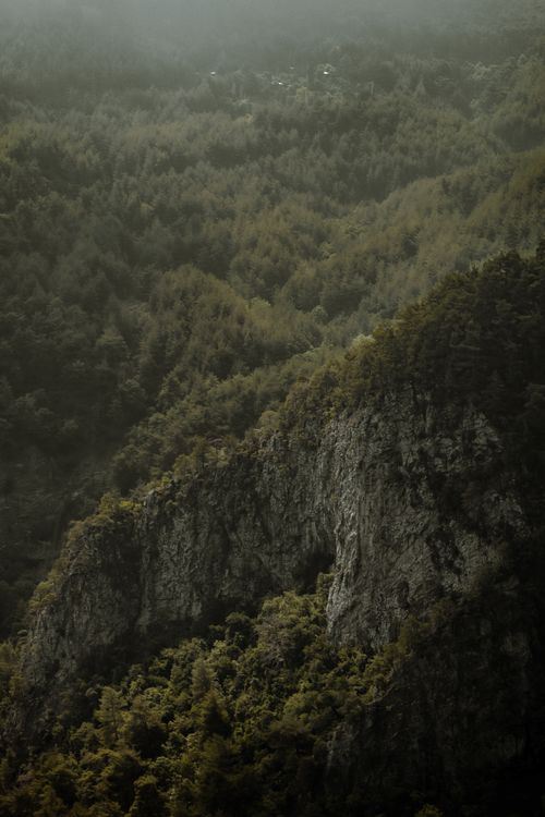 Free Aerial view of a lush forest with misty mountains, capturing the serene natural beauty. Stock Photo