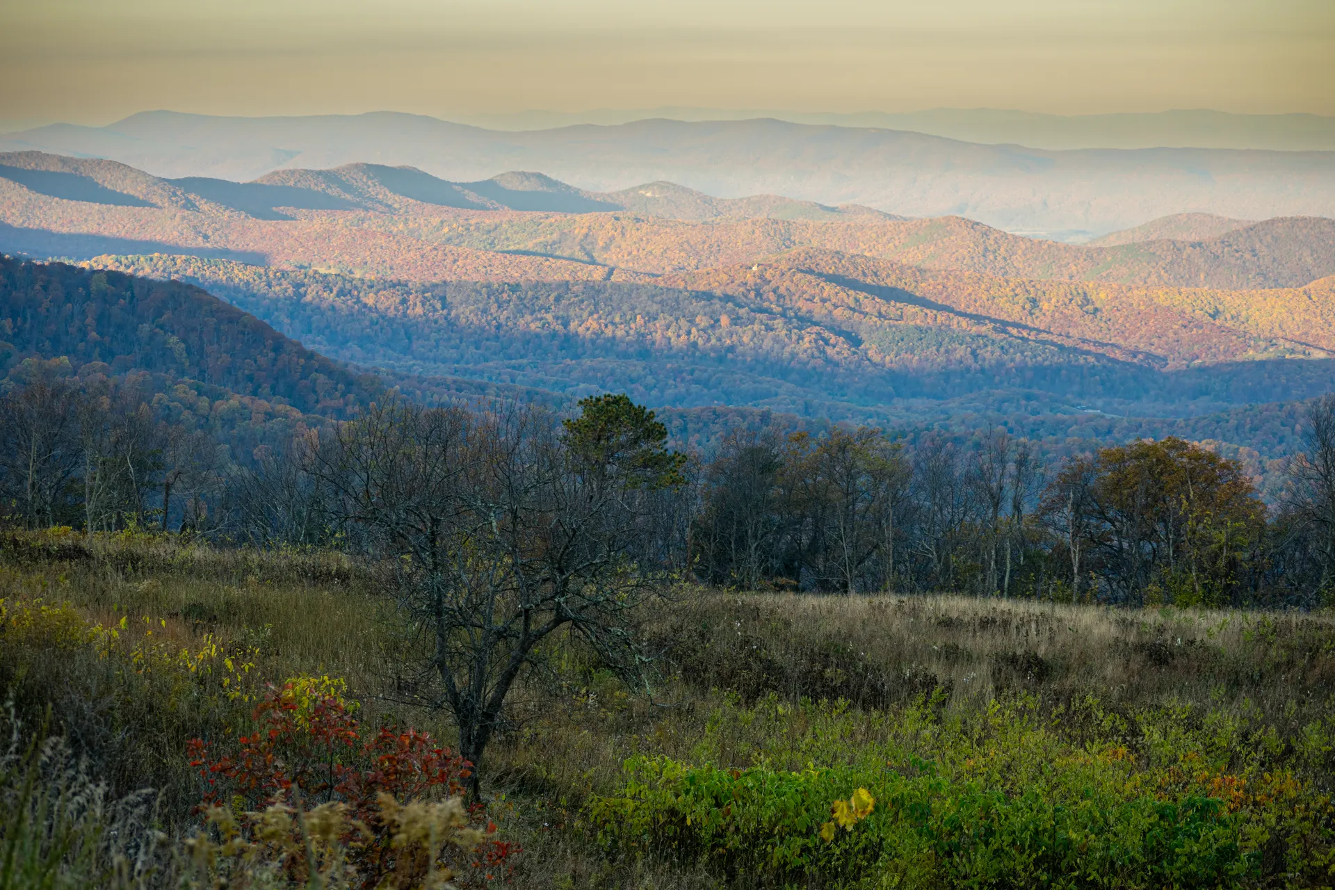 The Blue Ridge and Skyline Drive overlooks, Shenandoah National Park, Virginia