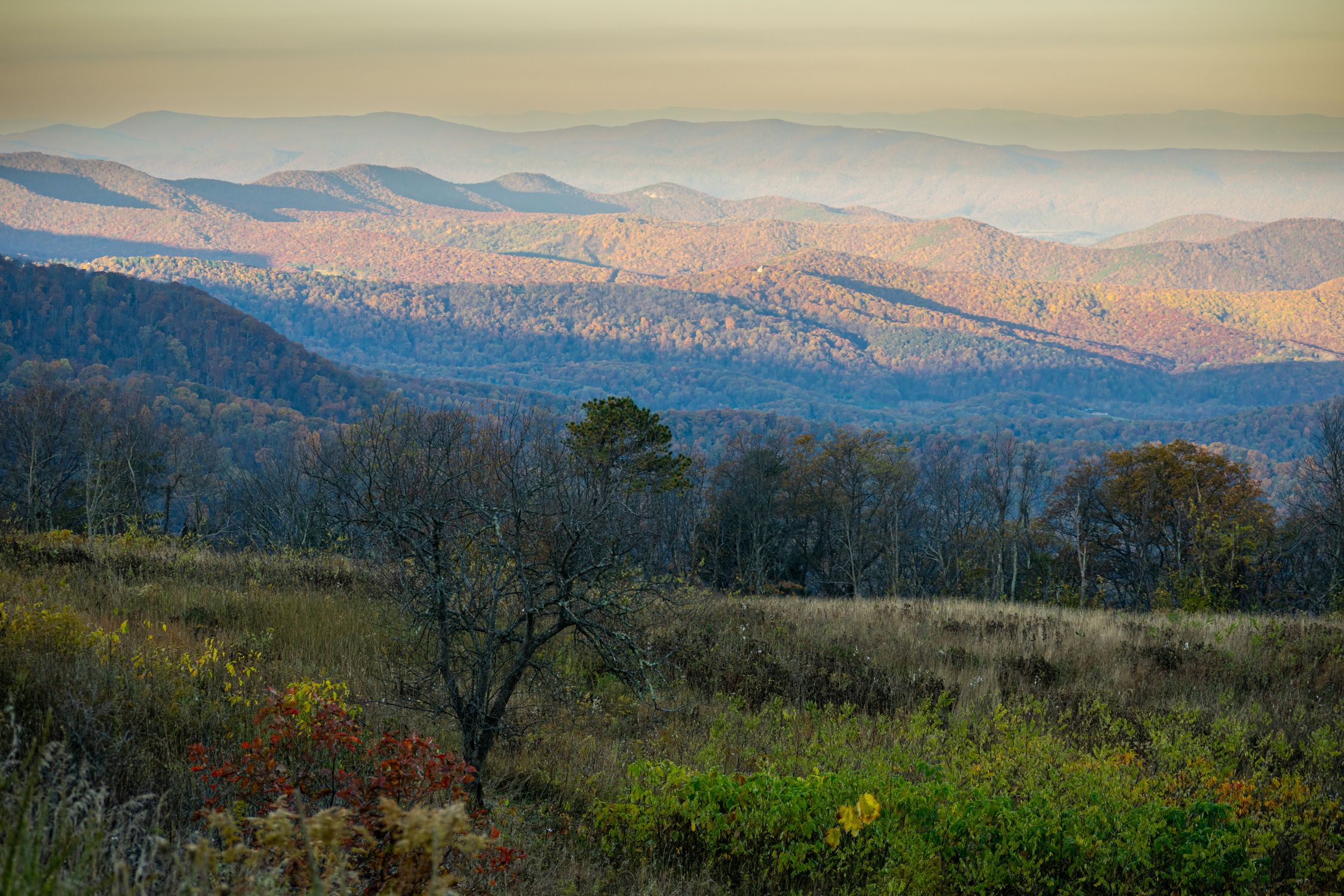 Breathtaking view of the Blue Ridge Mountains with autumn colors in Virginia, USA.