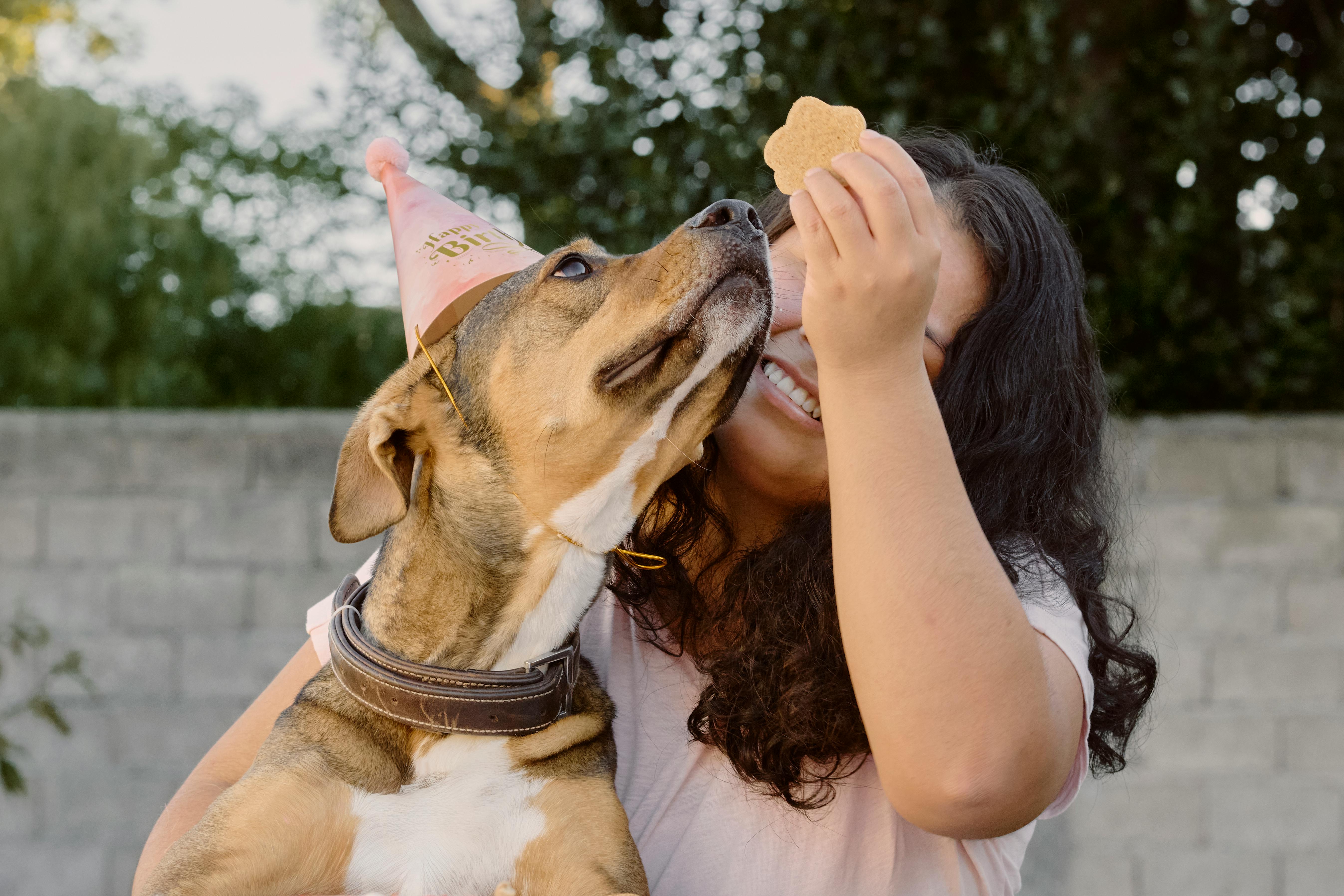 pet technology store — Photo by German Suarez on Pexels